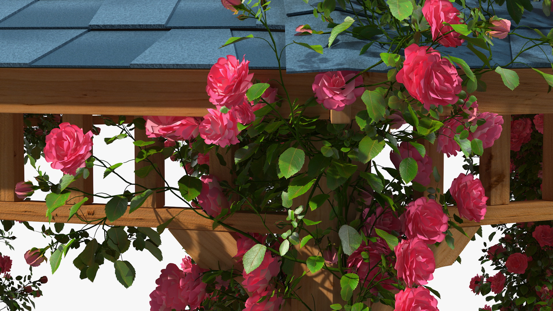 Gazebo Covered with Pink Rose 3D model