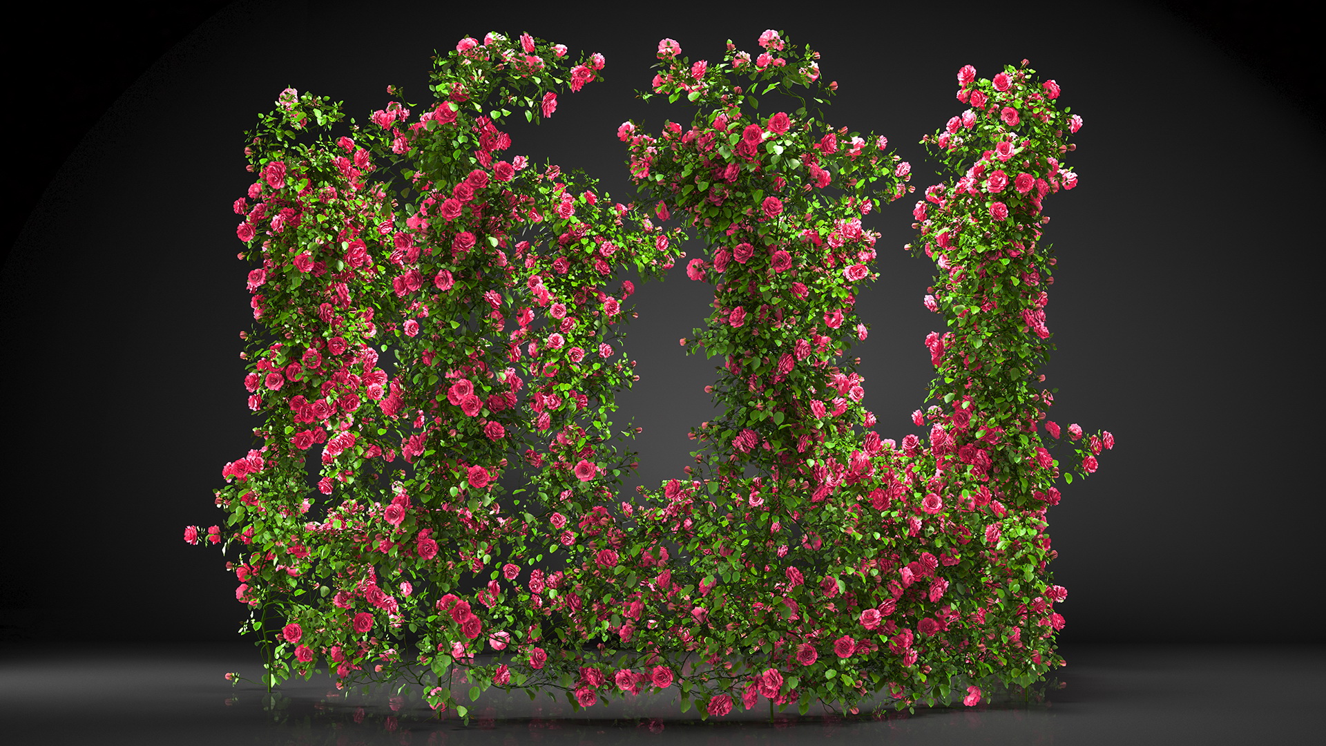 Gazebo Covered with Pink Rose 3D model