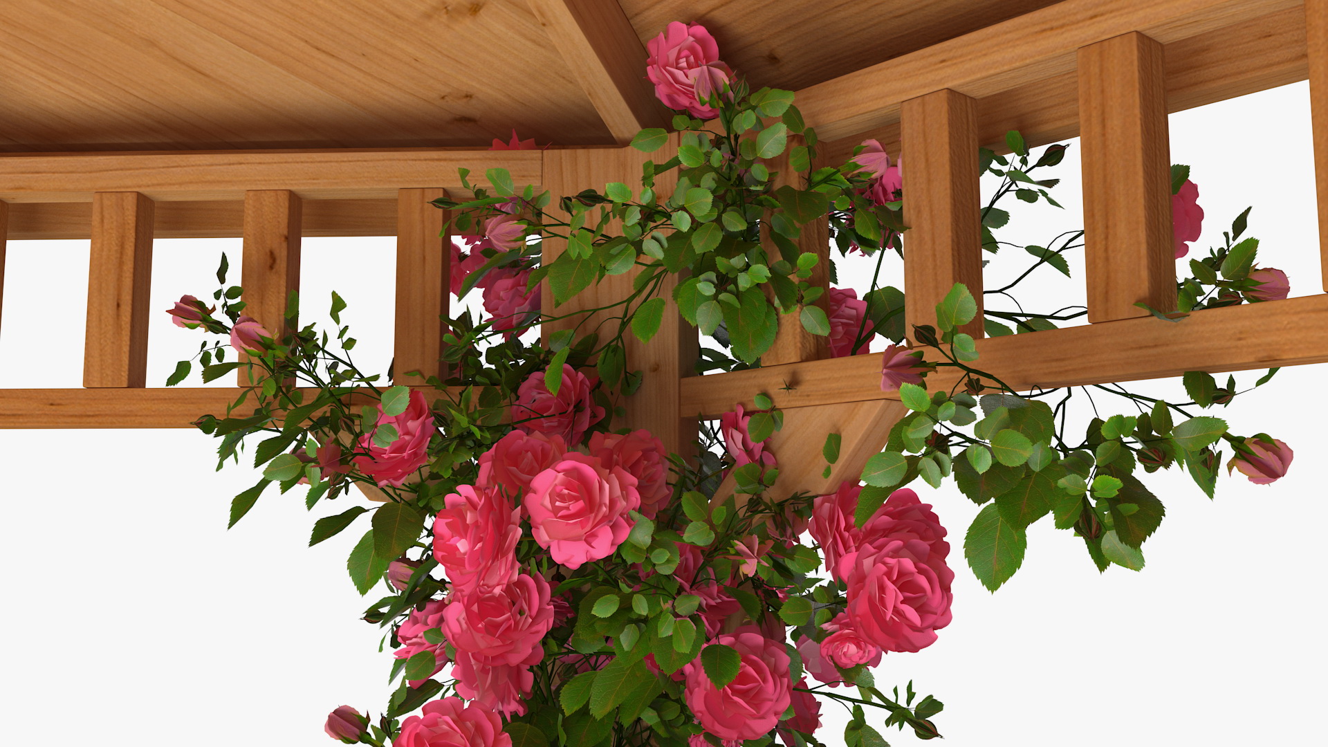 Gazebo Covered with Pink Rose 3D model