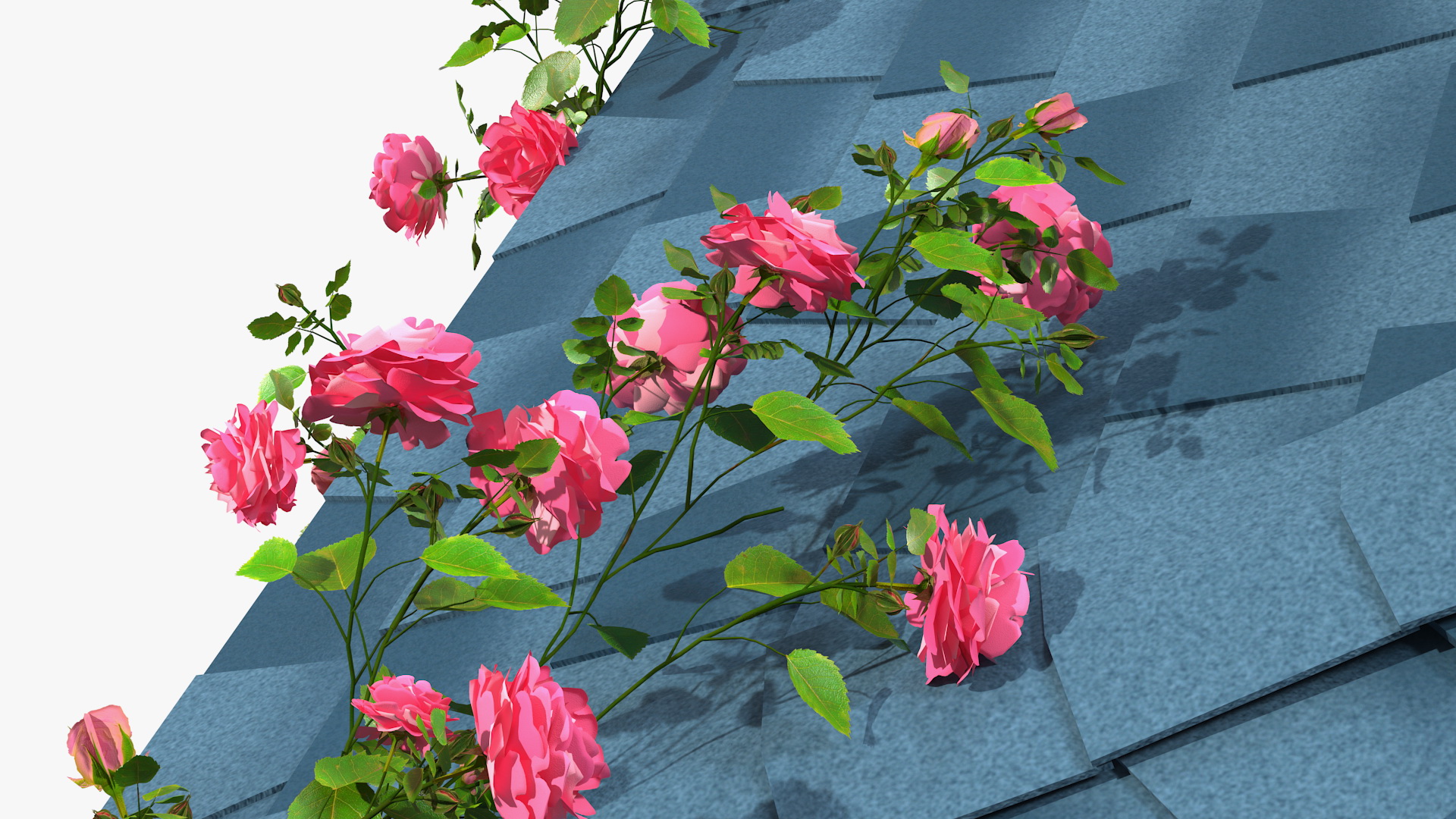 Gazebo Covered with Pink Rose 3D model