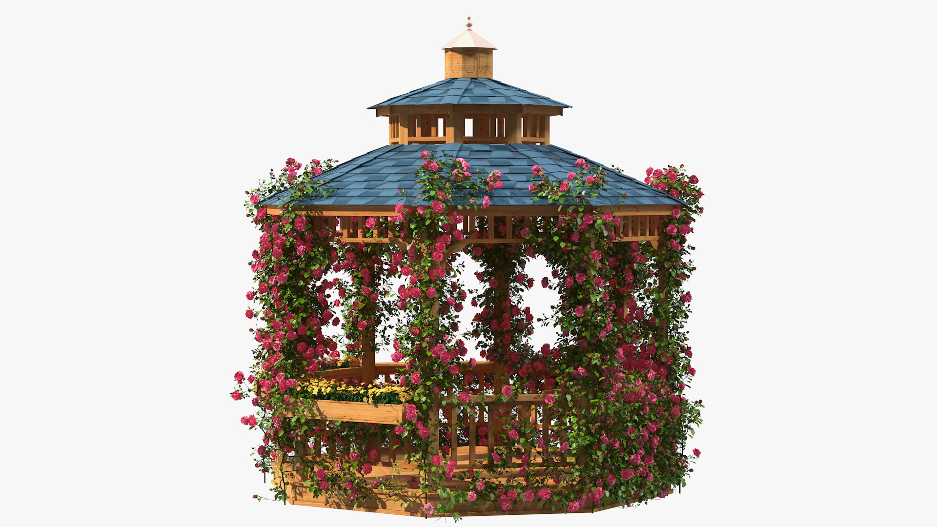 Gazebo Covered with Pink Rose 3D model