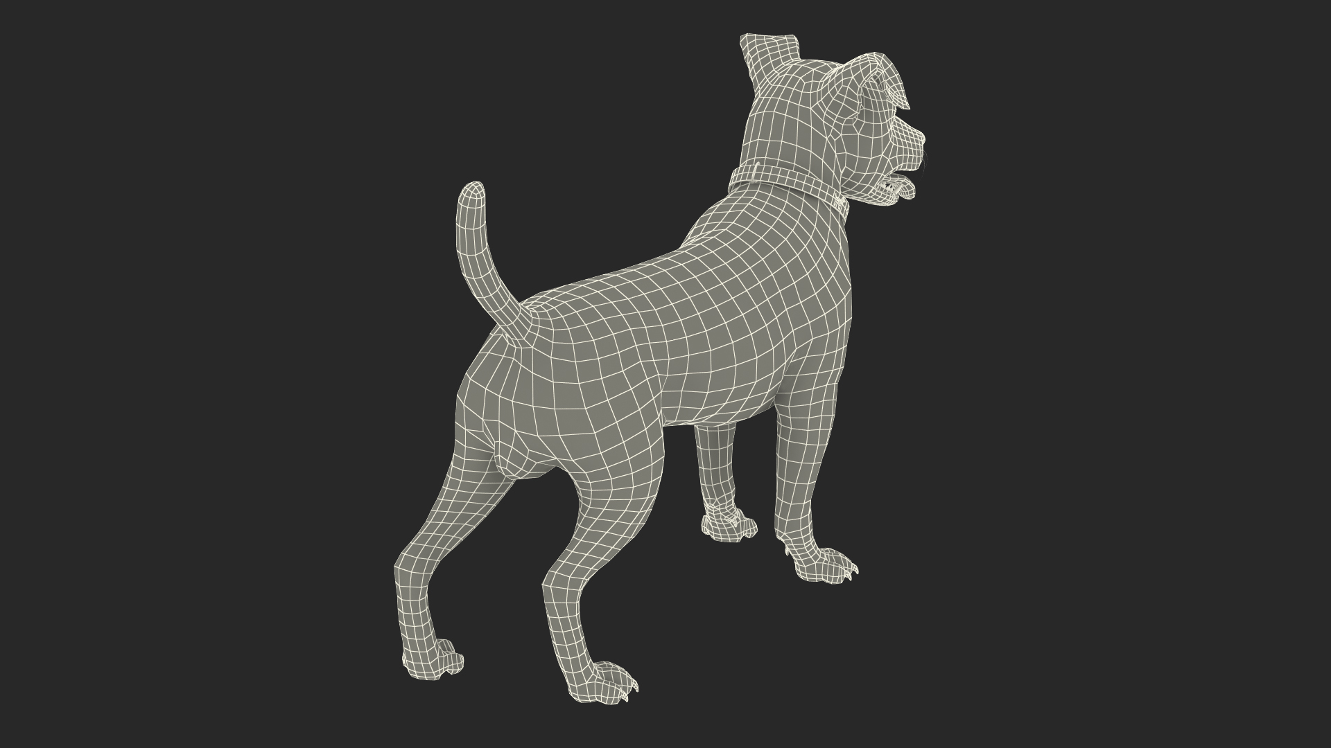 3D model White Jack Russell Terrier Fur Attention Pose