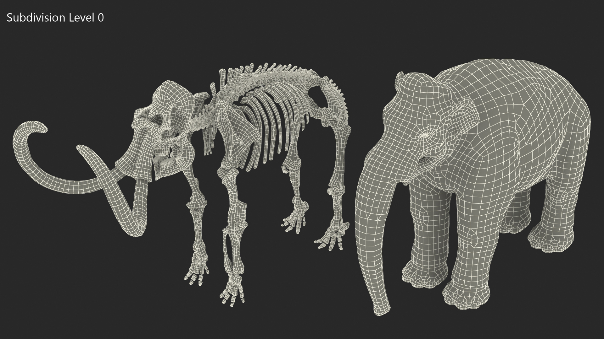 Adult Mammoth Old Skeleton Shell Rigged 3D model
