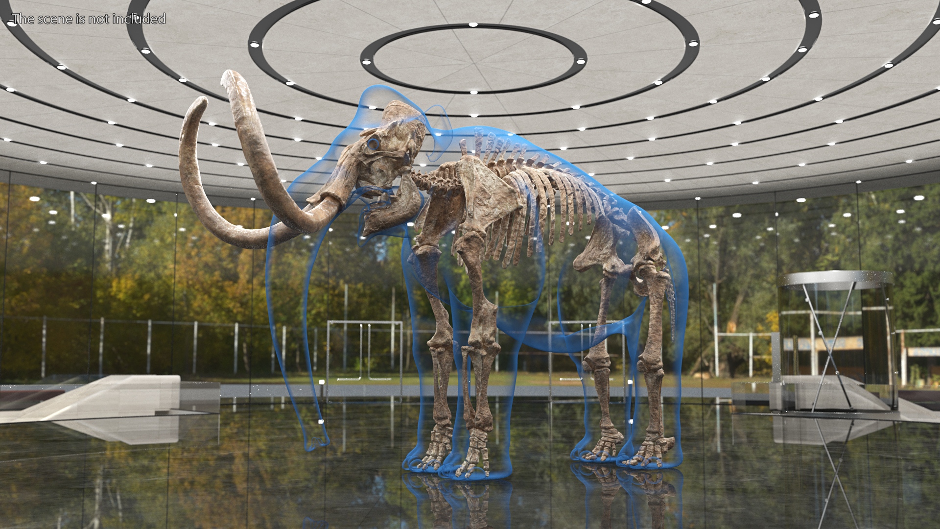 Adult Mammoth Old Skeleton Shell Rigged 3D model