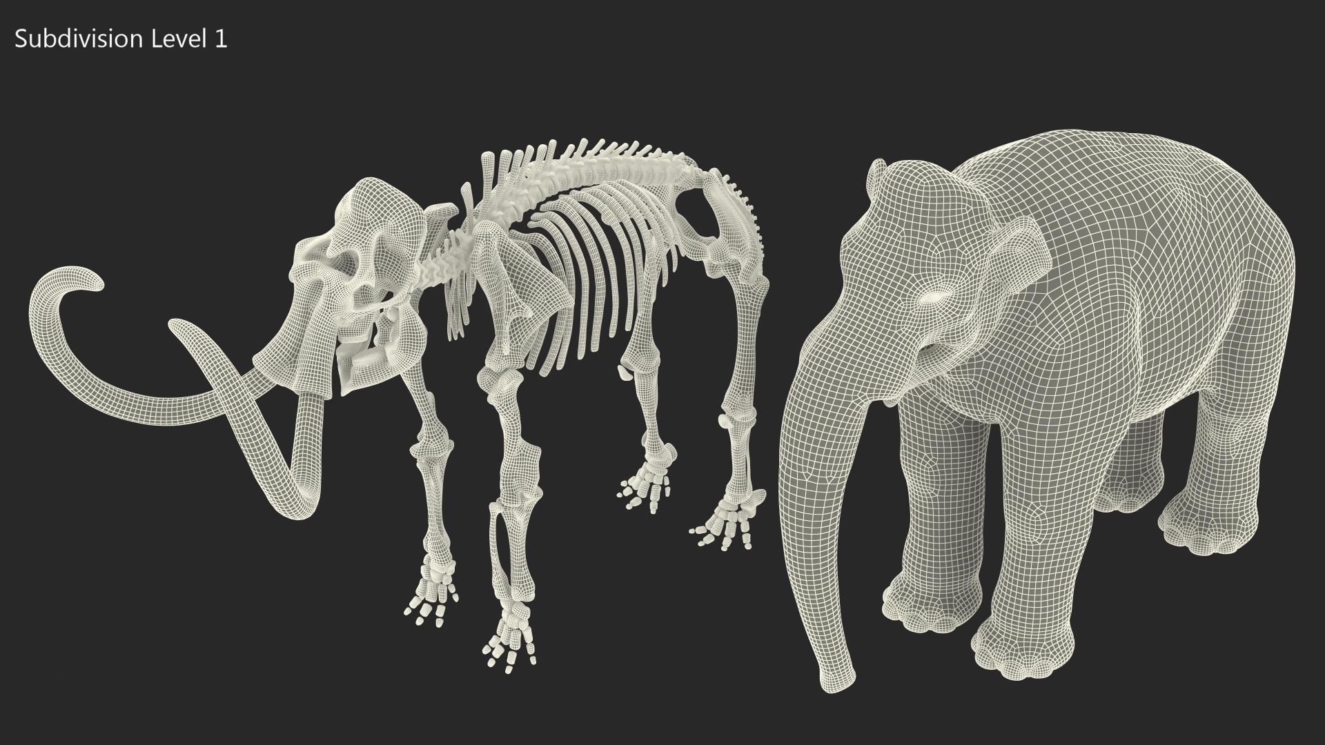 Adult Mammoth Old Skeleton Shell Rigged 3D model
