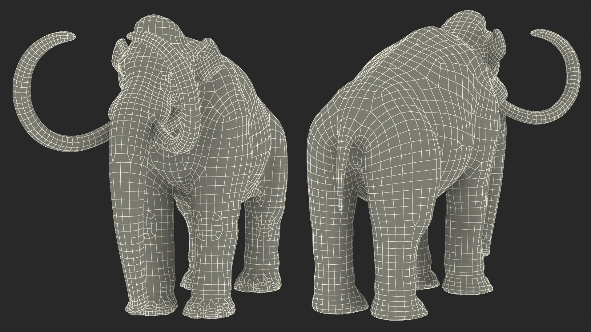 Adult Mammoth Old Skeleton Shell Rigged 3D model