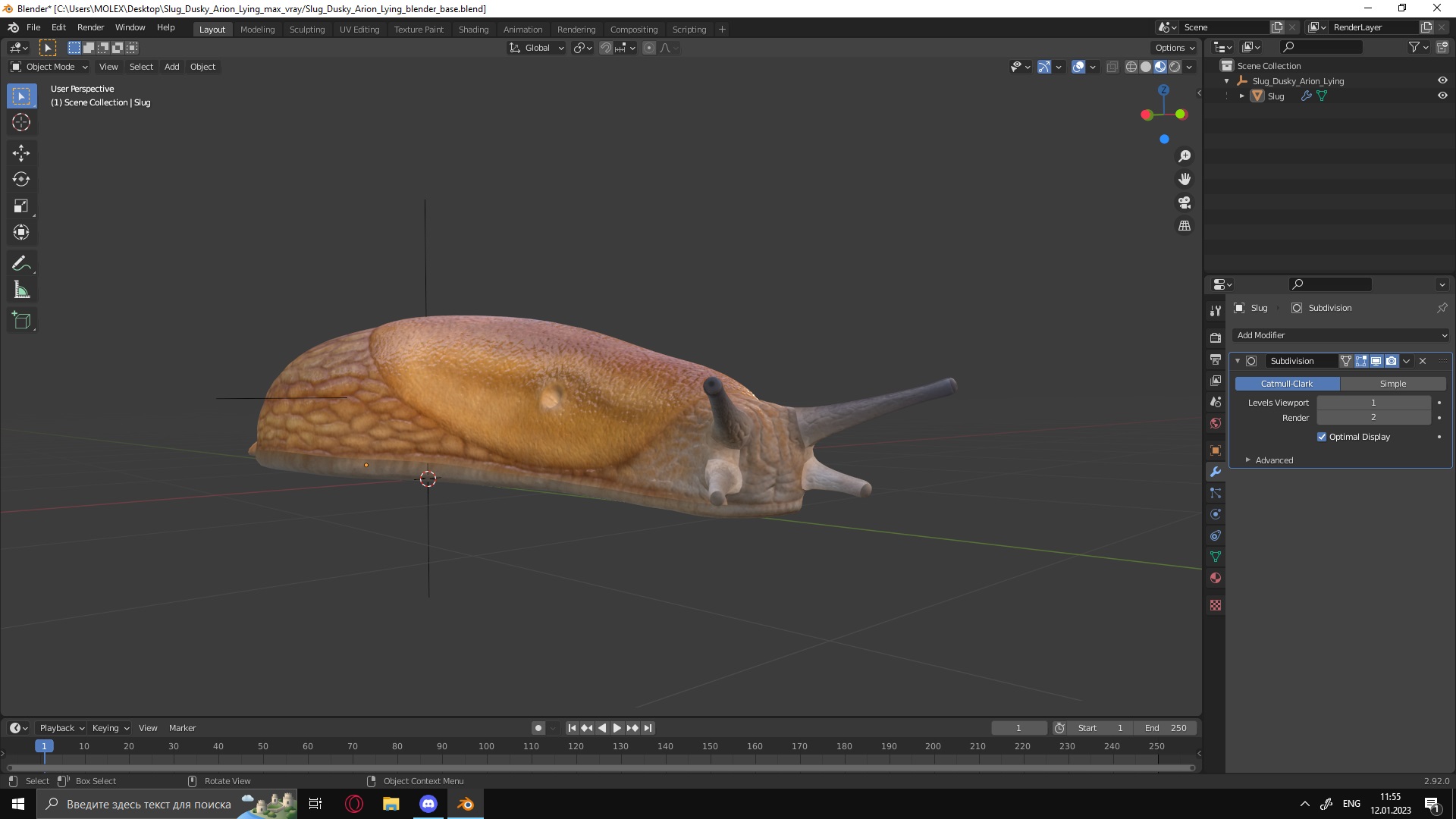 Slug Dusky Arion Lying 3D