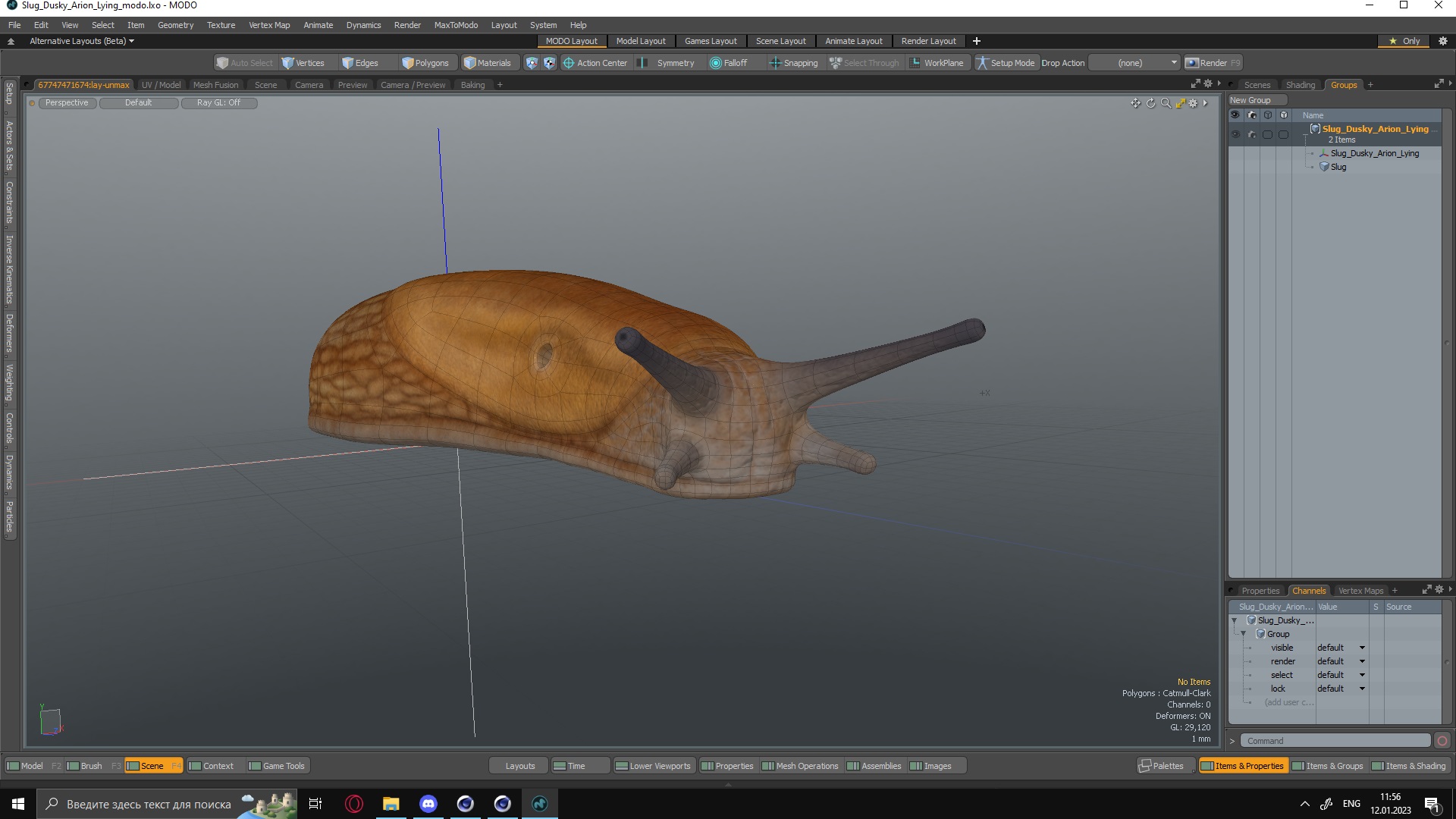 Slug Dusky Arion Lying 3D