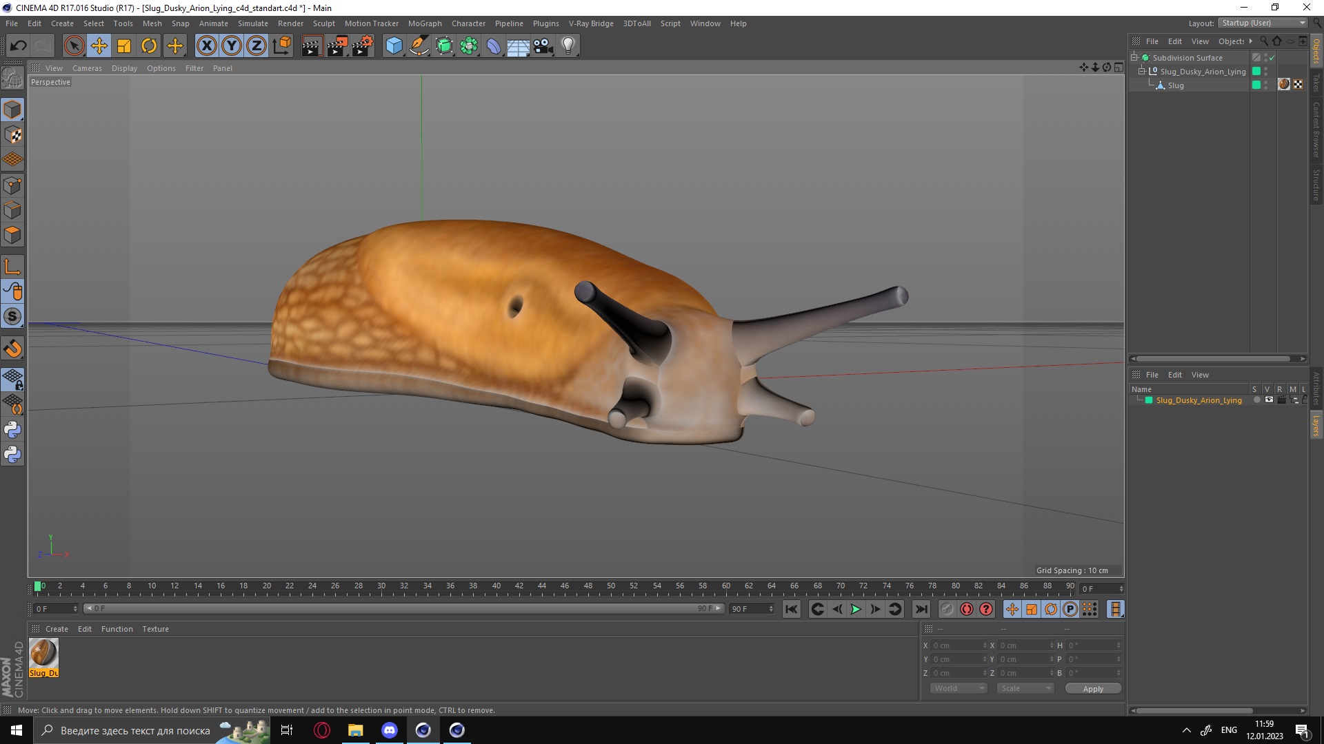 Slug Dusky Arion Lying 3D