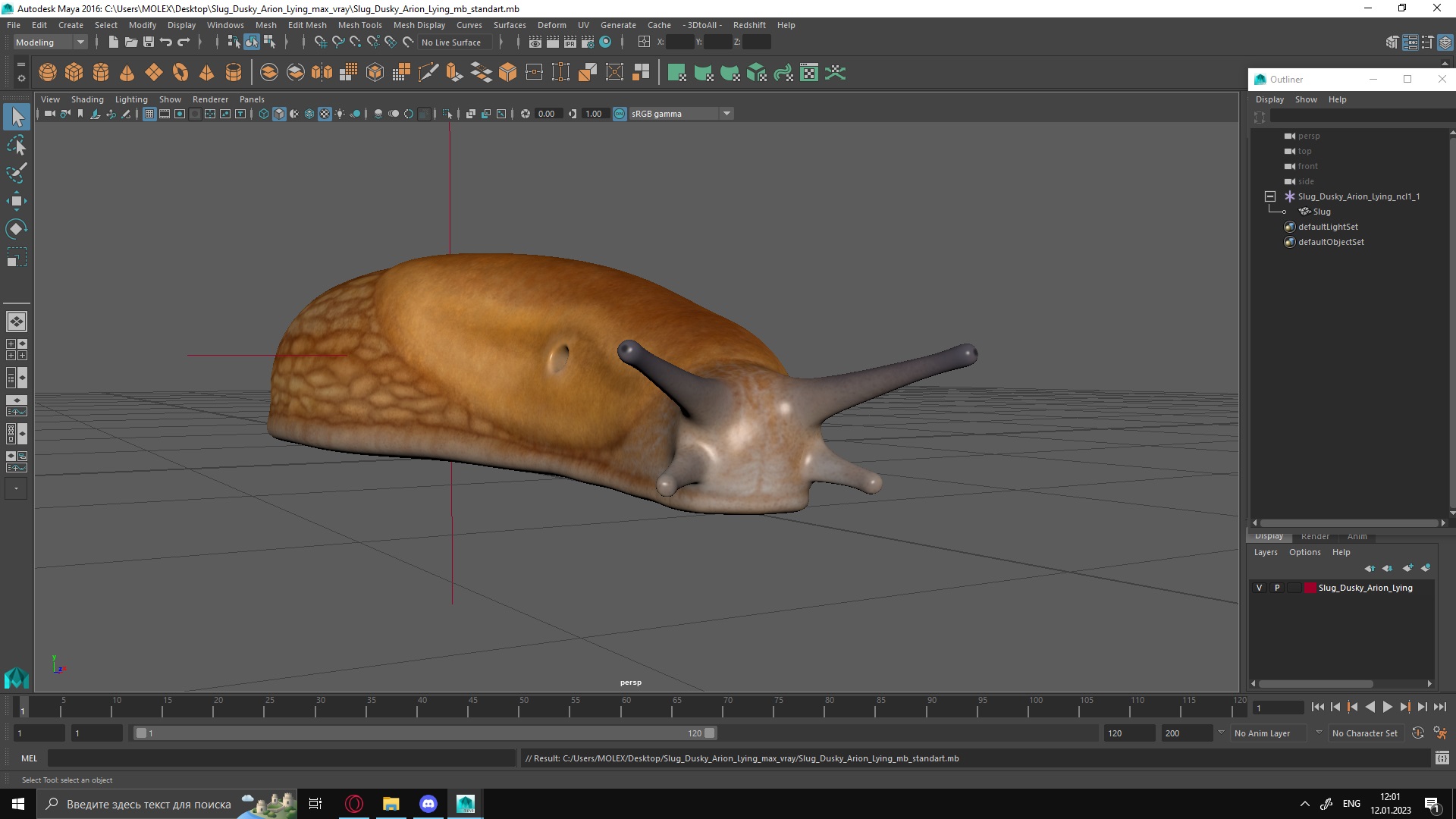Slug Dusky Arion Lying 3D