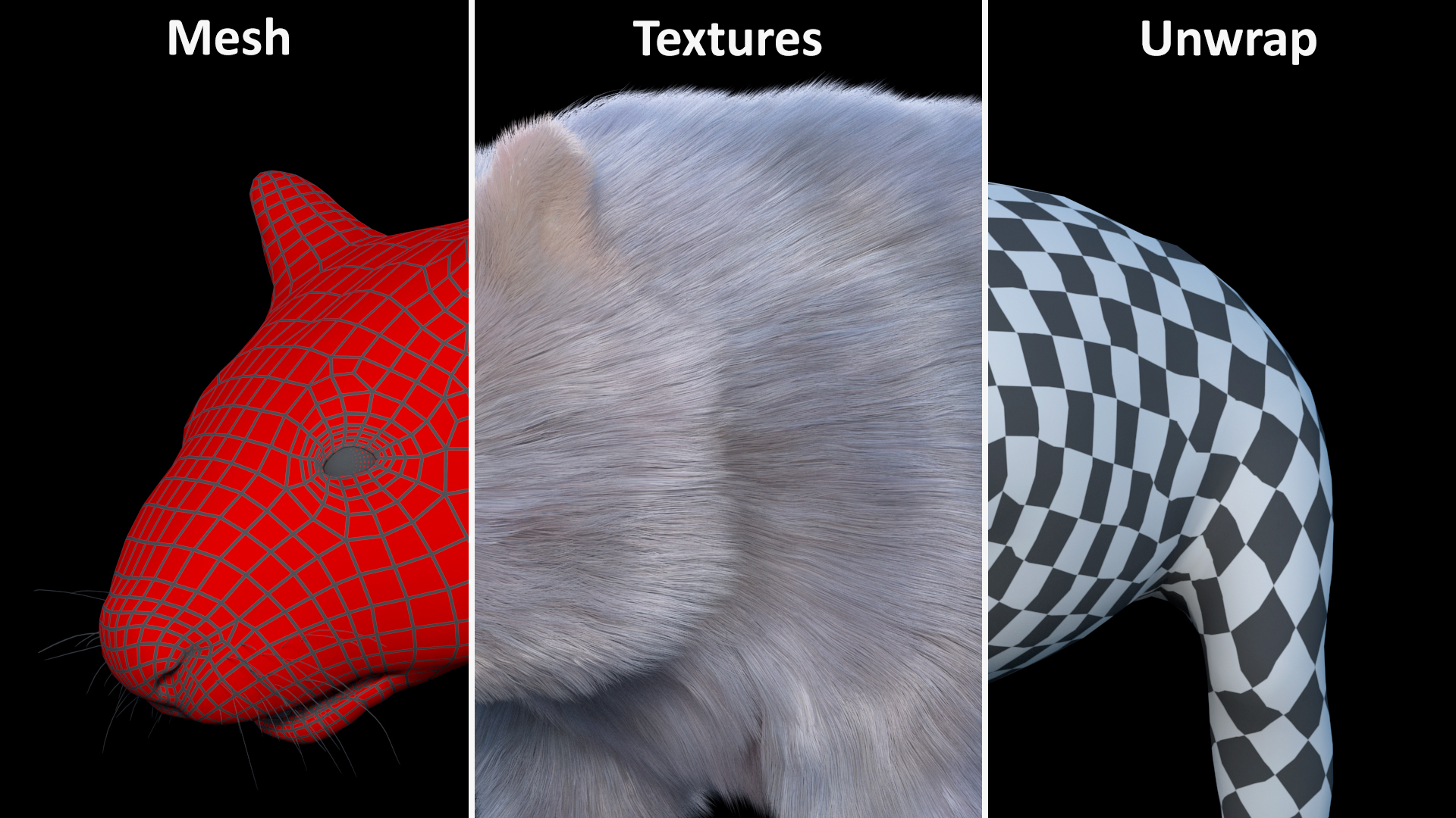 3D model Grey Wombat Fur