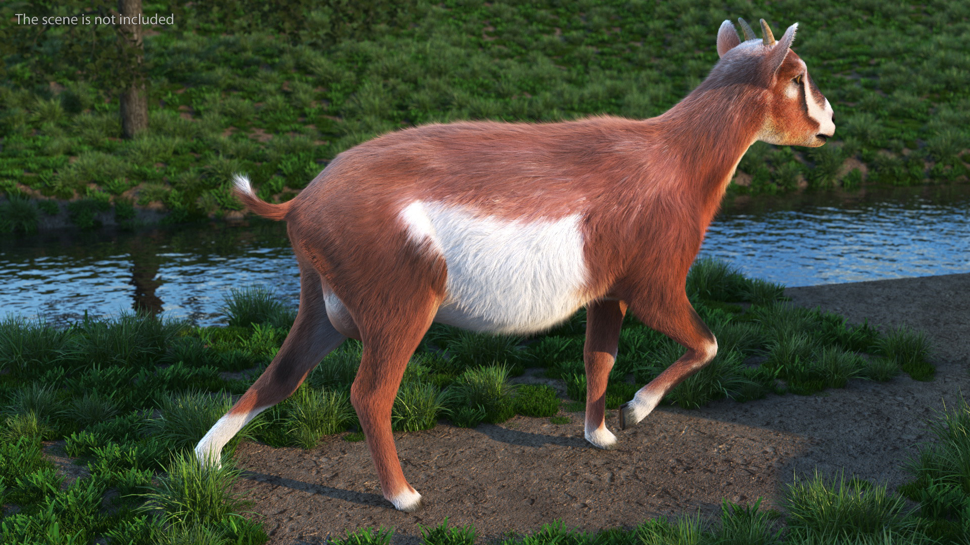 3D Walking Goat Fur