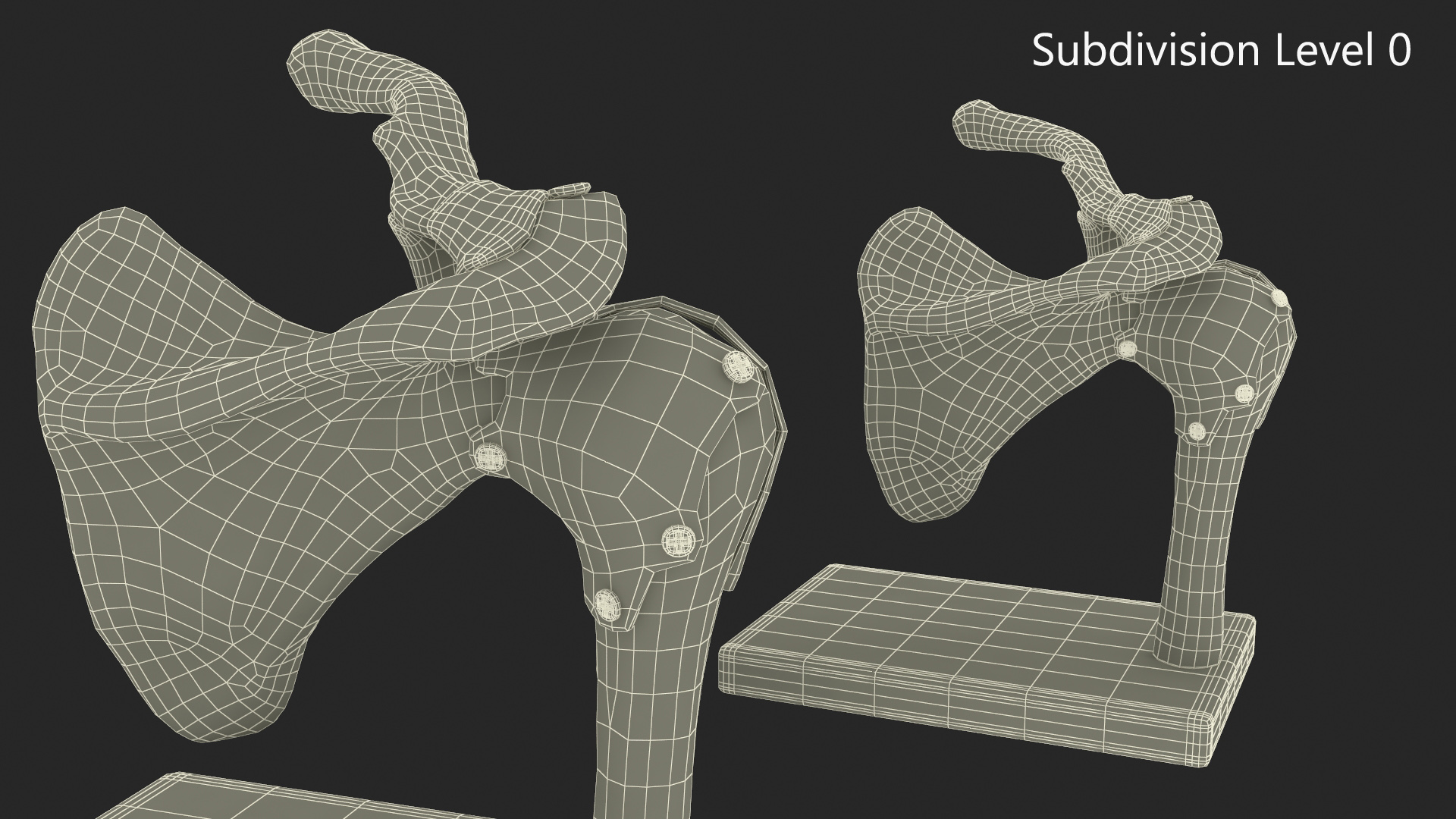 Shoulder Joint 3D model