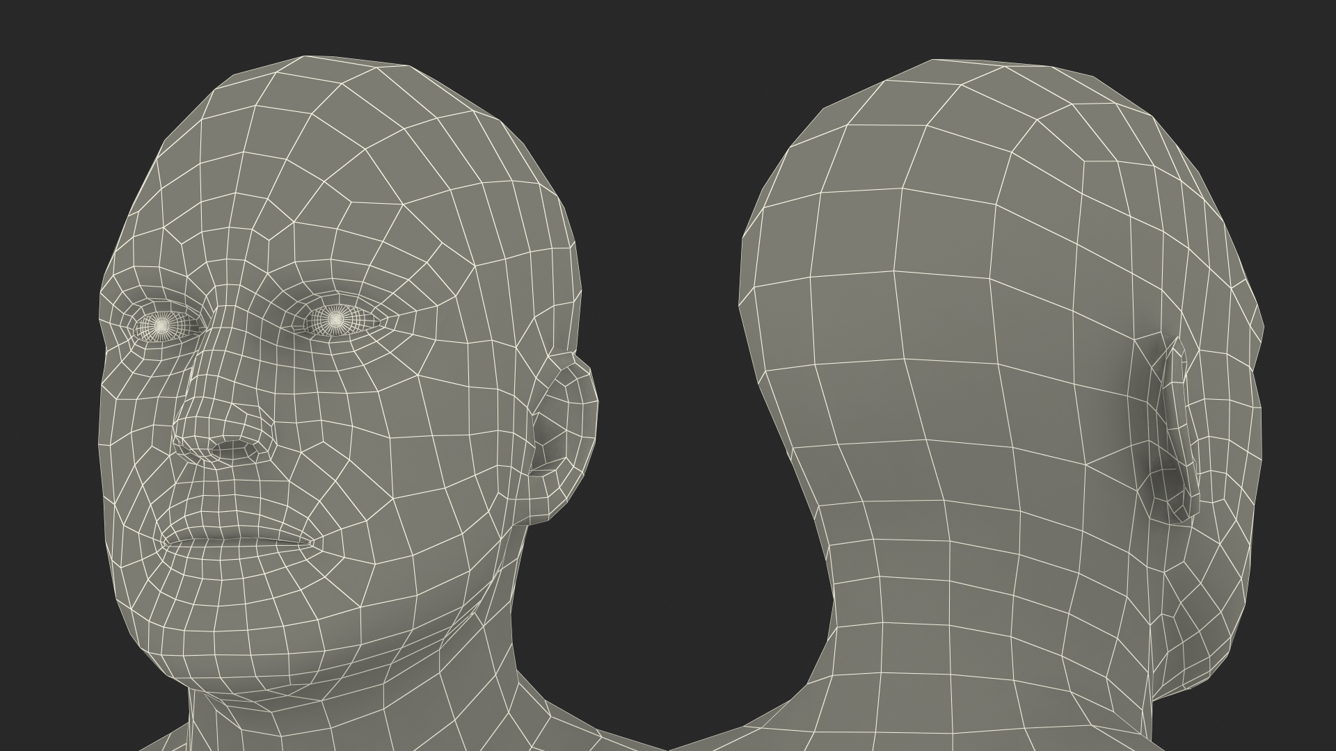 IBF Boxing Champion 3D model