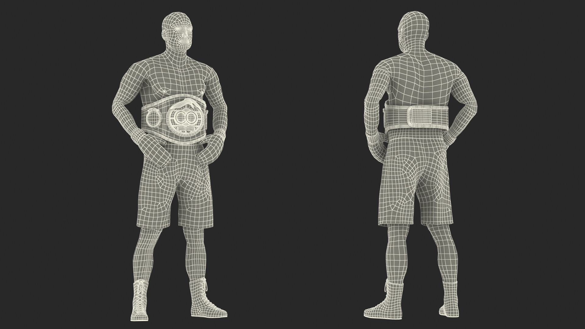IBF Boxing Champion 3D model