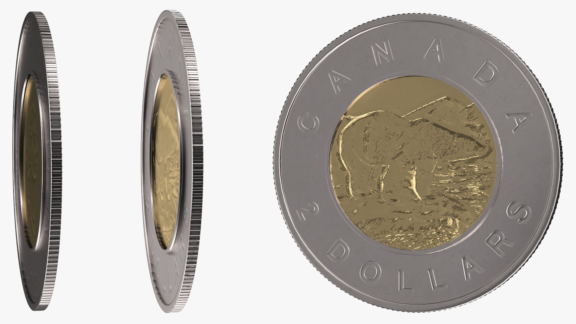3D 2 Canadian Dollars Coin model