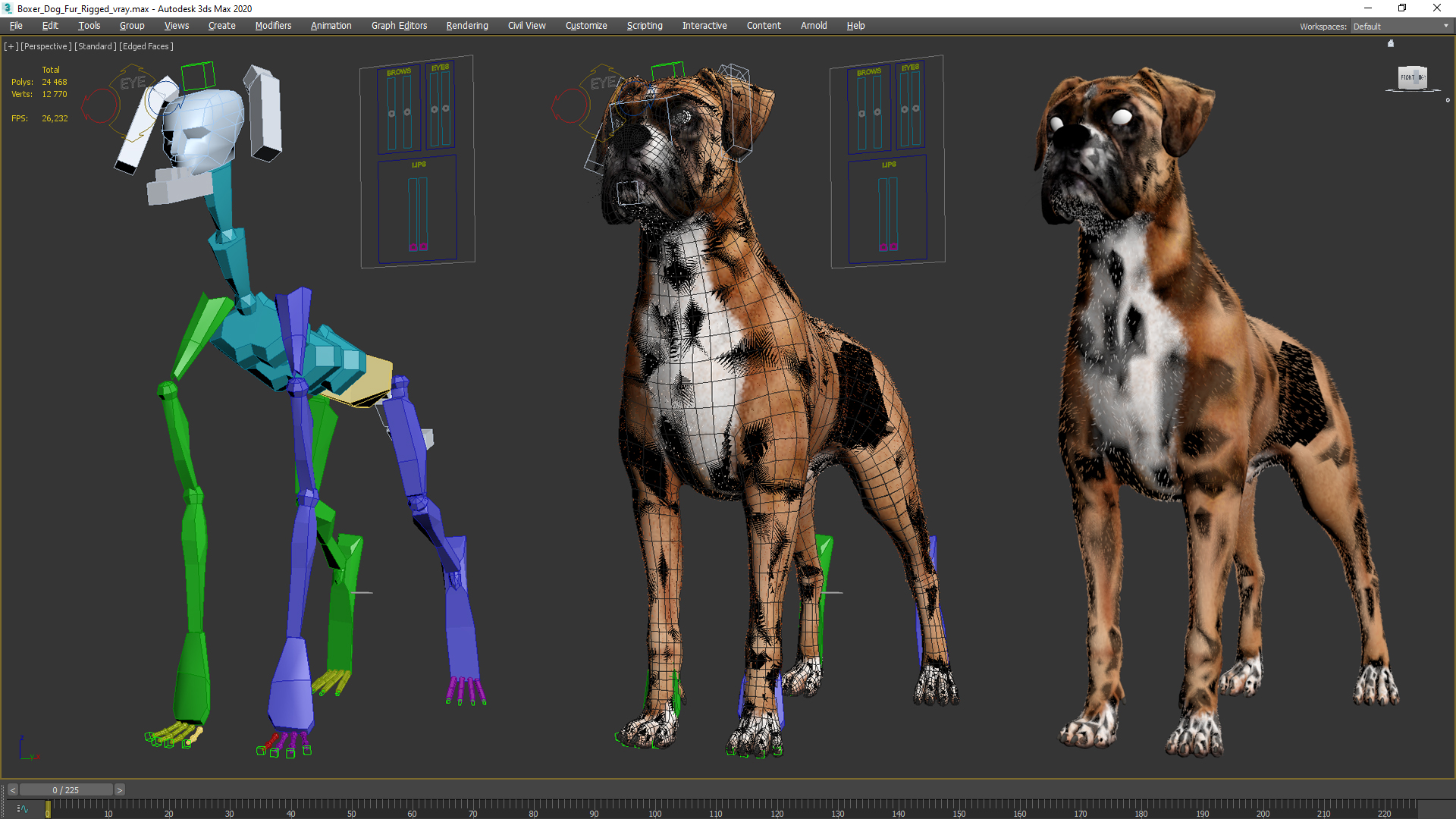 3D model Boxer Dog Fur Rigged