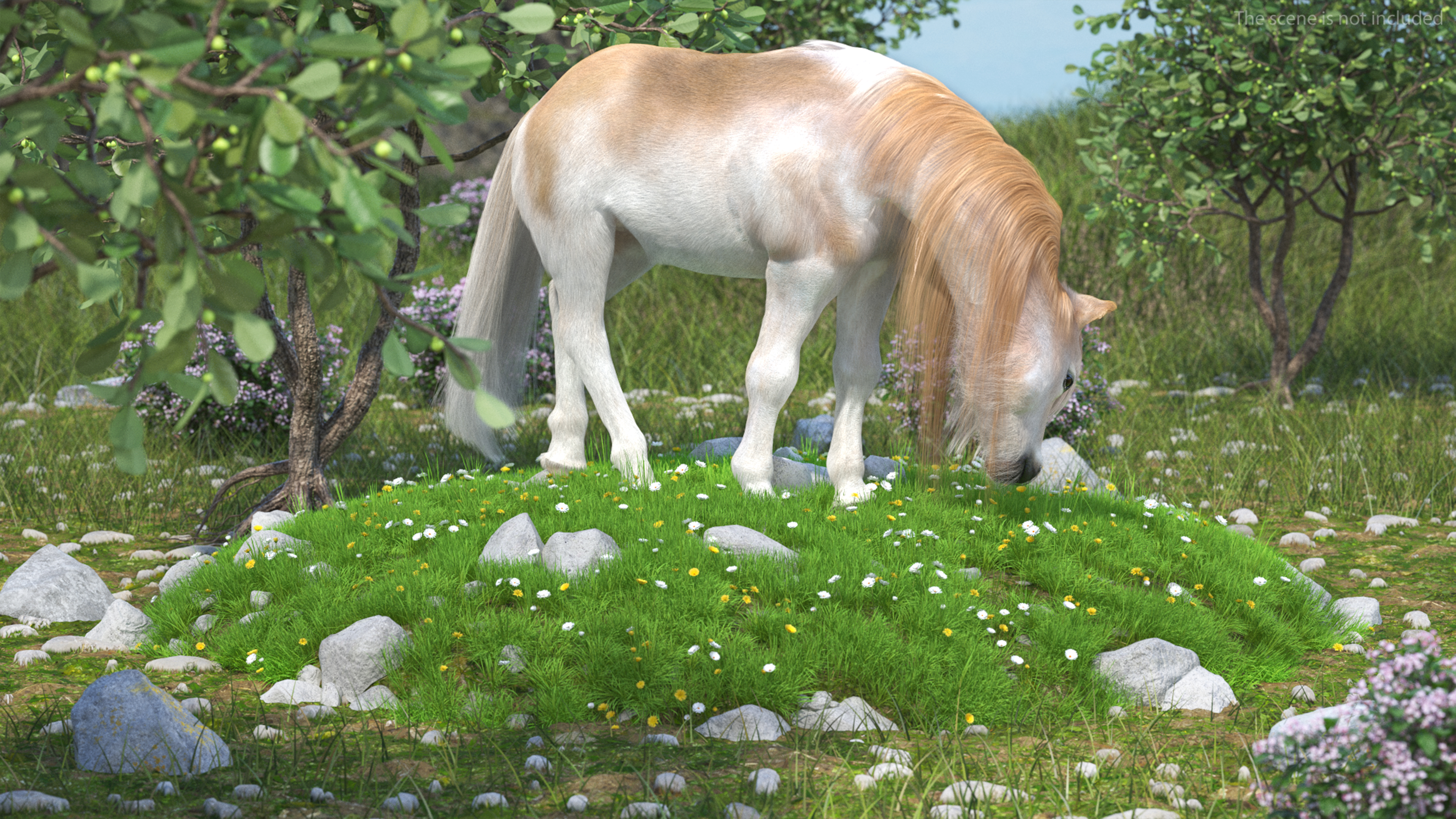 Shetland Pony with Long Mane Fur Rigged 3D model
