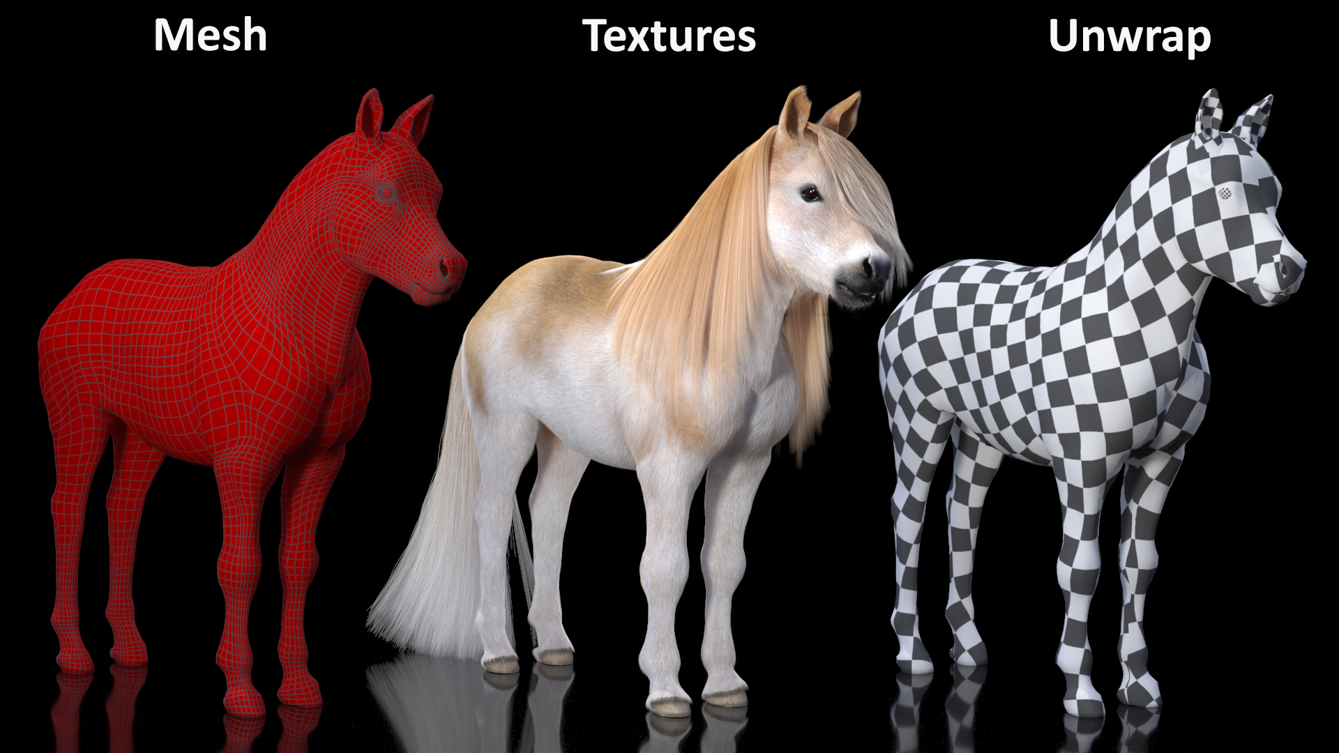 Shetland Pony with Long Mane Fur Rigged 3D model