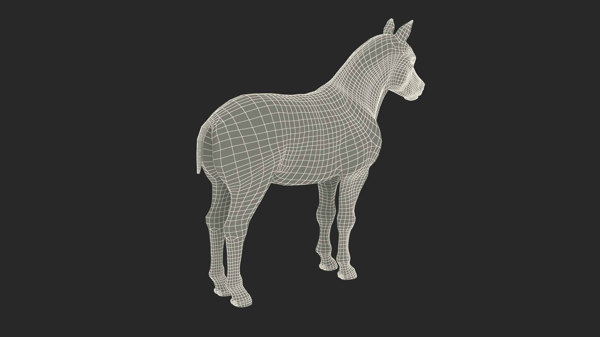 Shetland Pony with Long Mane Fur Rigged 3D model