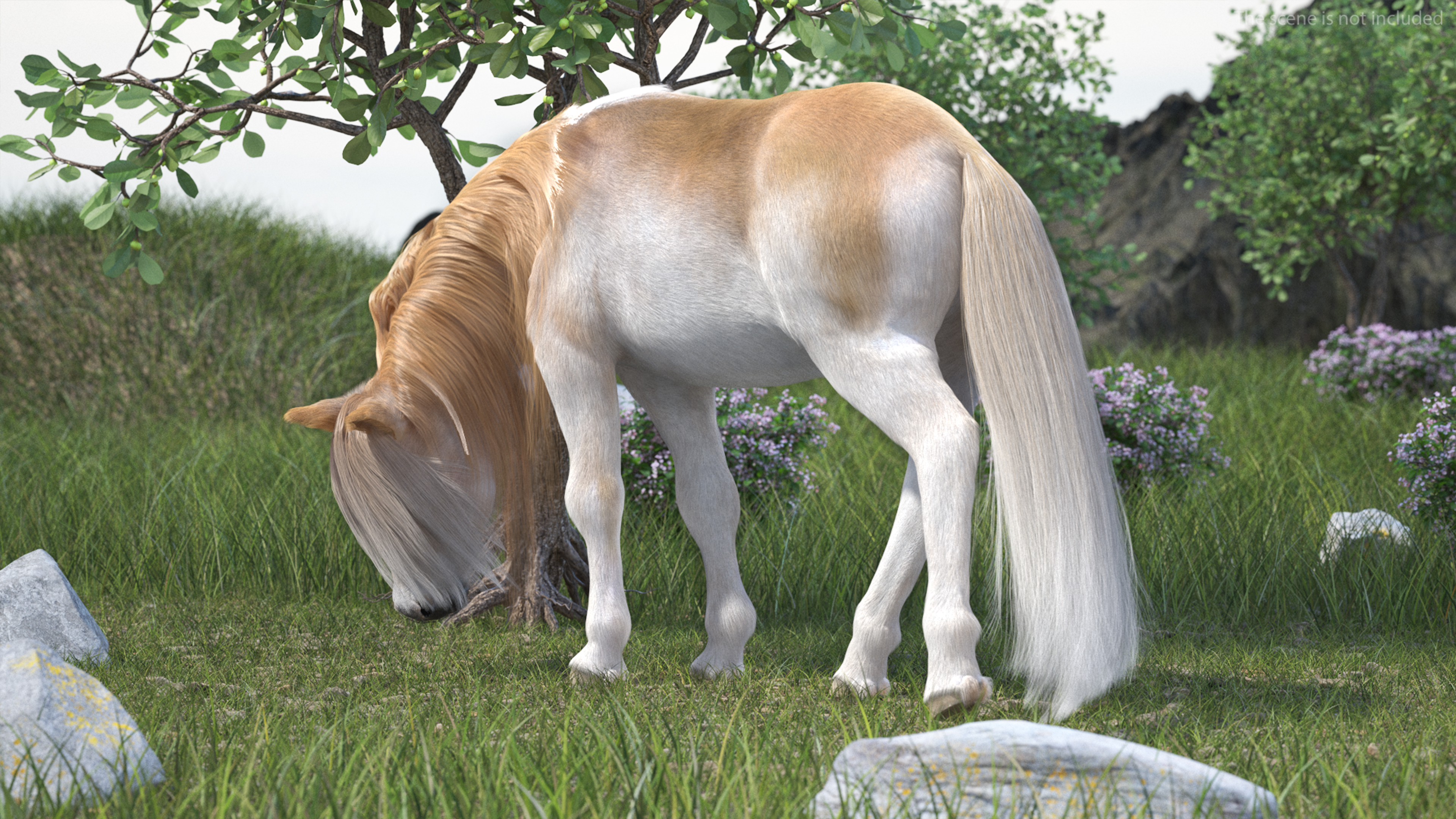 Shetland Pony with Long Mane Fur Rigged 3D model