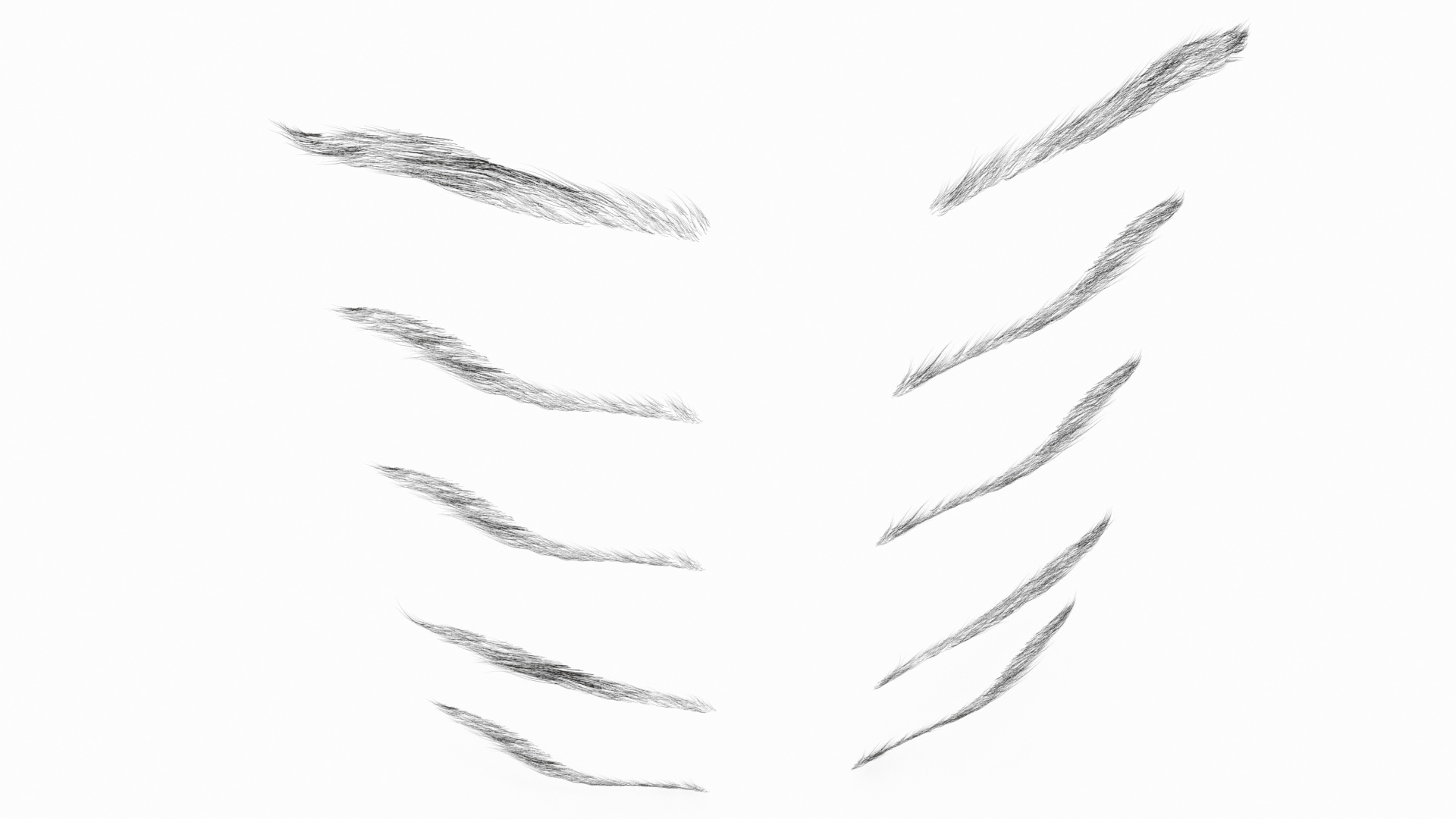 Eyebrows Shapes Set 3D model