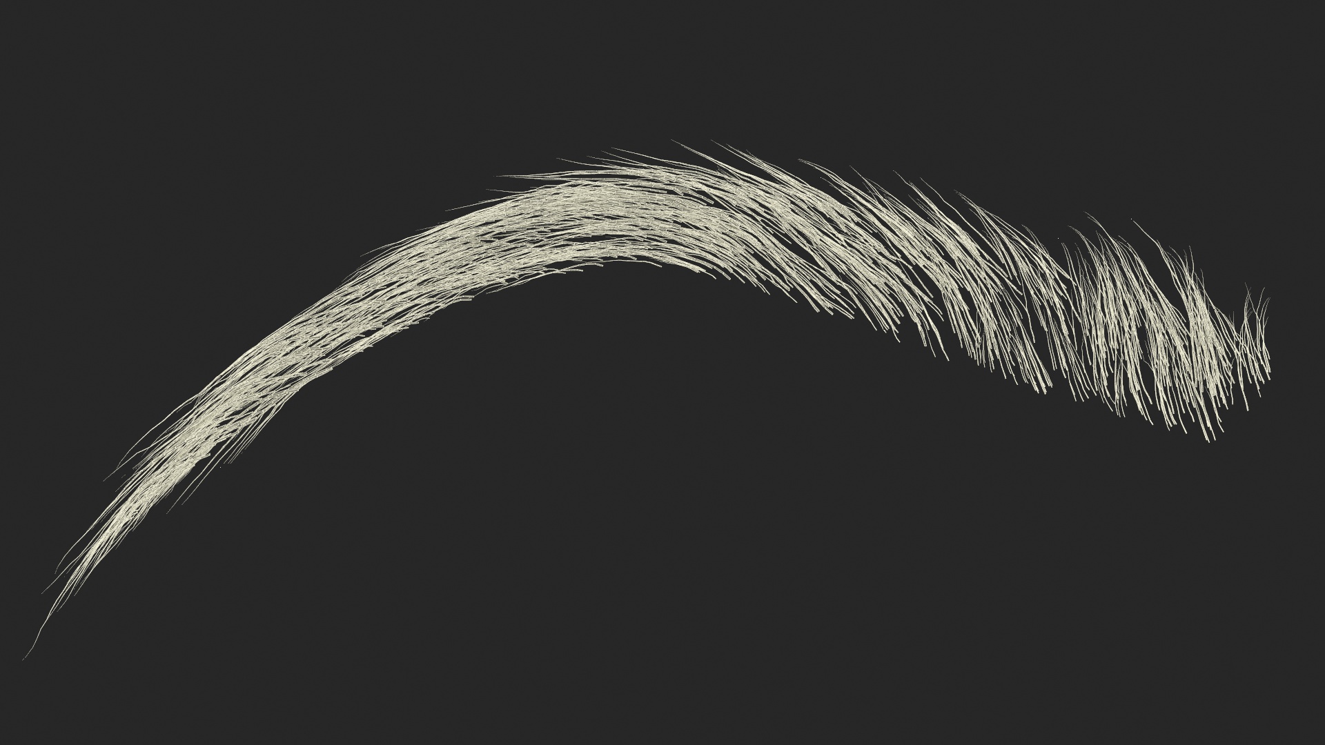 Eyebrows Shapes Set 3D model