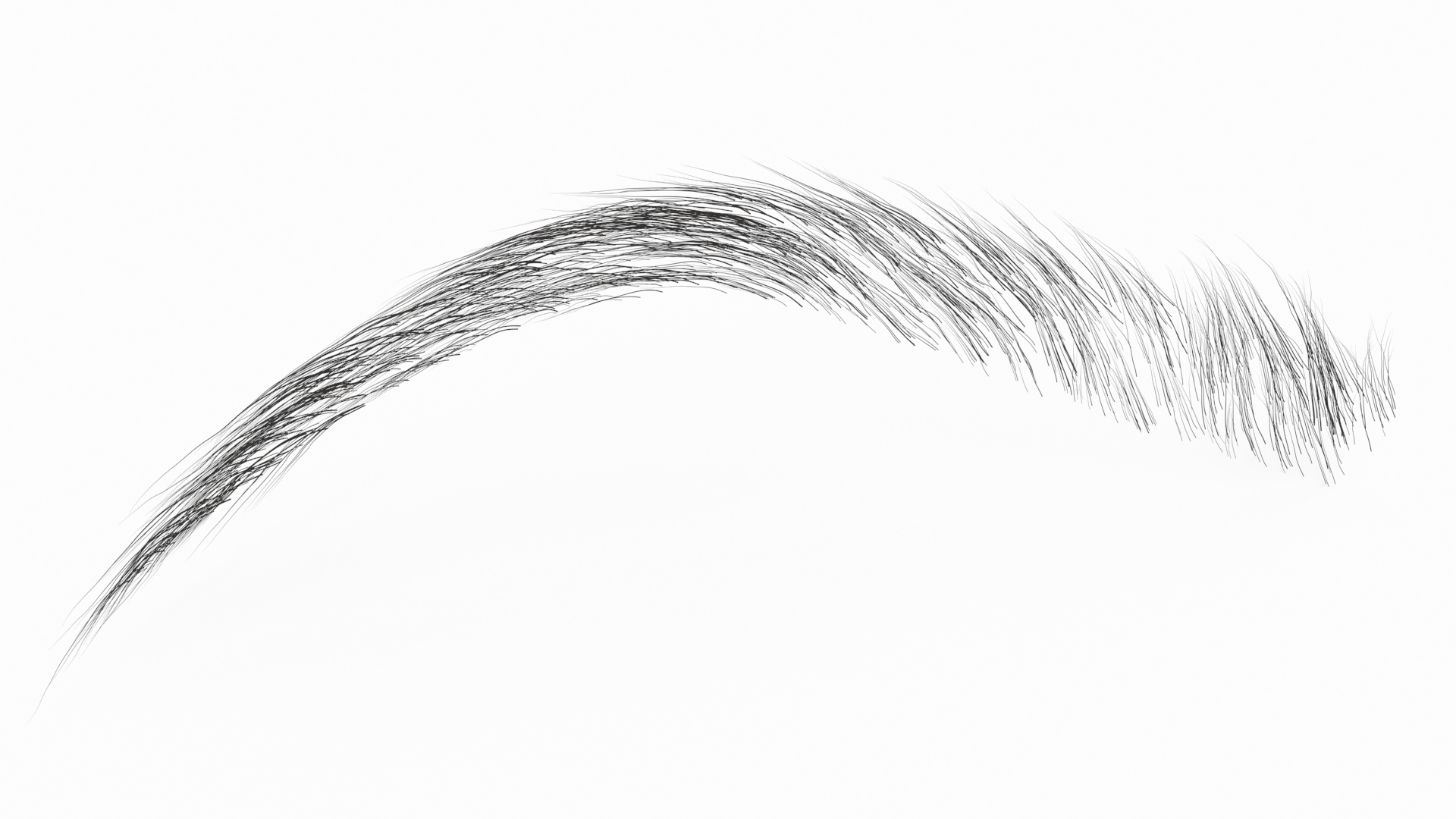 Eyebrows Shapes Set 3D model
