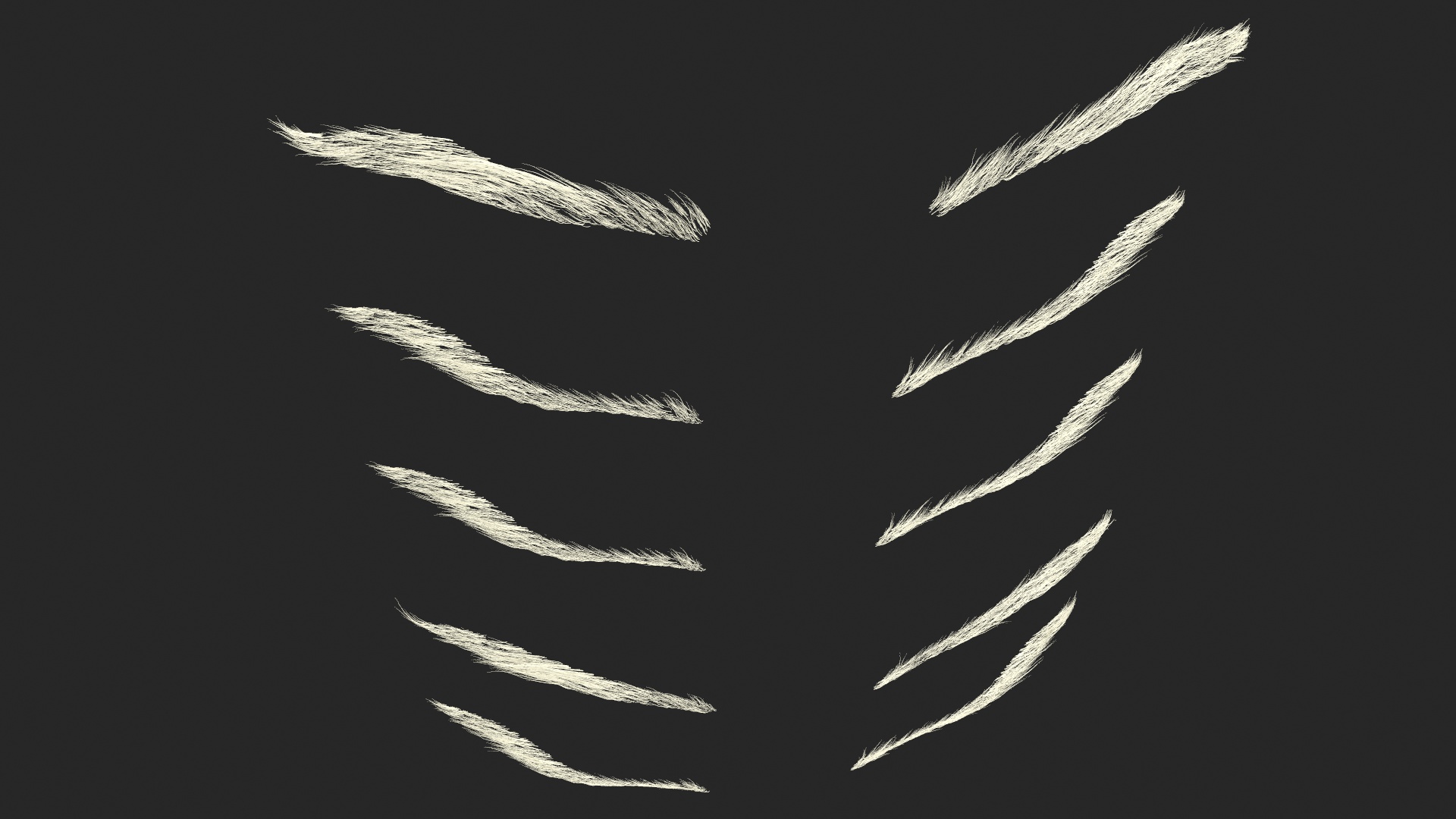 Eyebrows Shapes Set 3D model