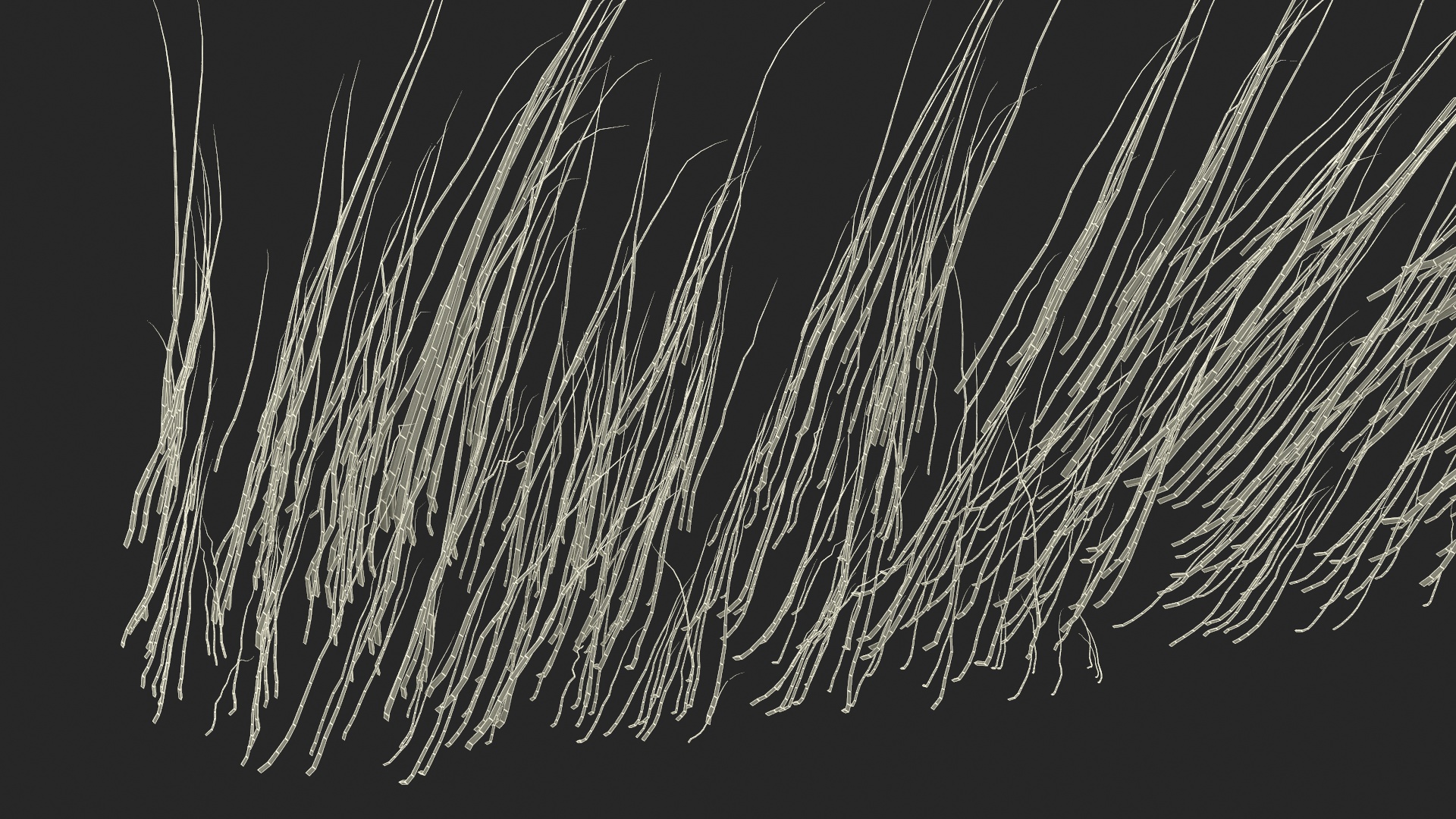 Eyebrows Shapes Set 3D model