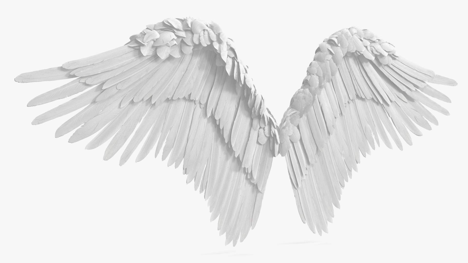 Angel Wings White 3D