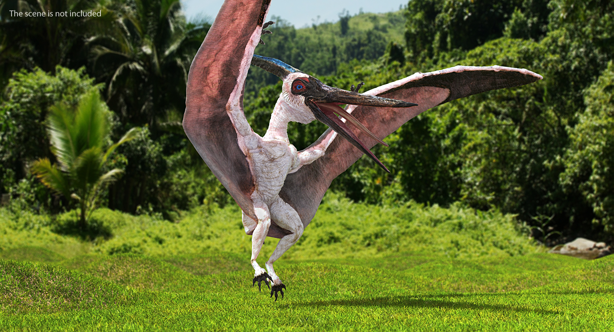 Pterosaur Pteranodon White Landing Pose 3D model
