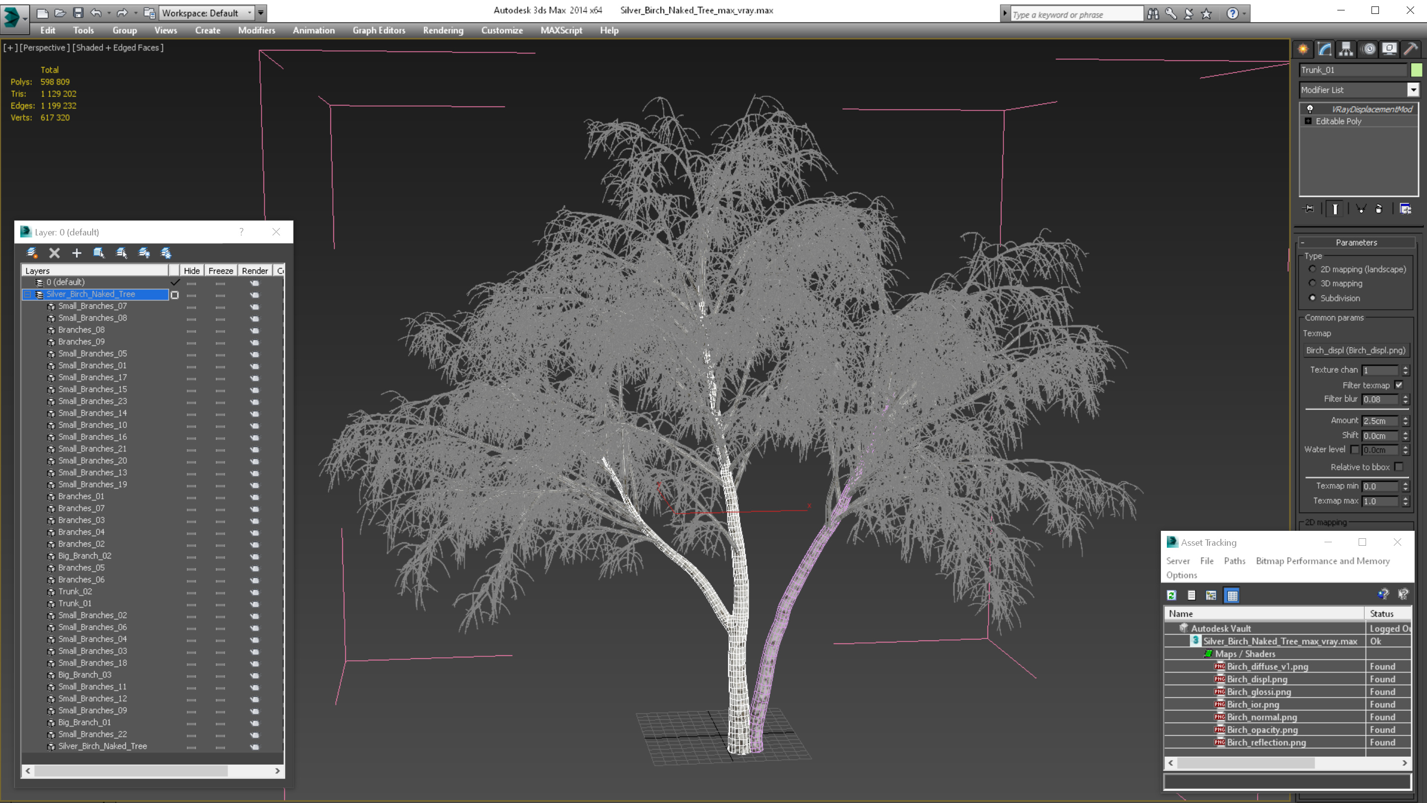 3D Silver Birch Naked Tree model
