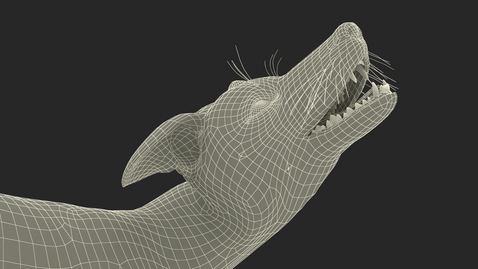 3D Wild European Fox Rigged for Cinema 4D model