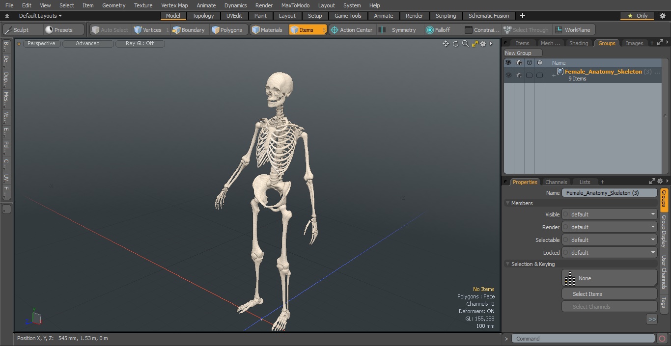 3D Female Anatomy Skeleton model