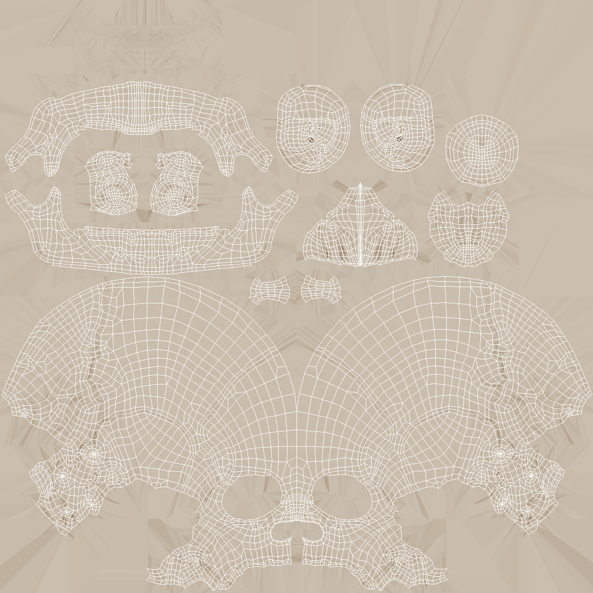 3D Female Anatomy Skeleton model