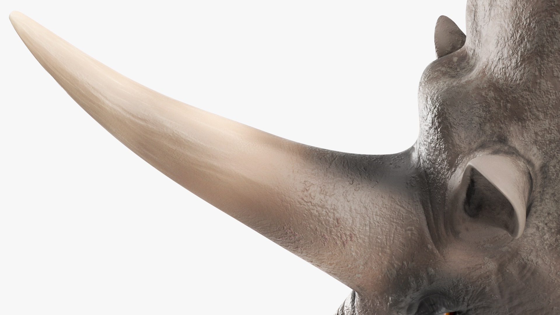 Extinct Giant Rhinoceros Walking Pose 3D