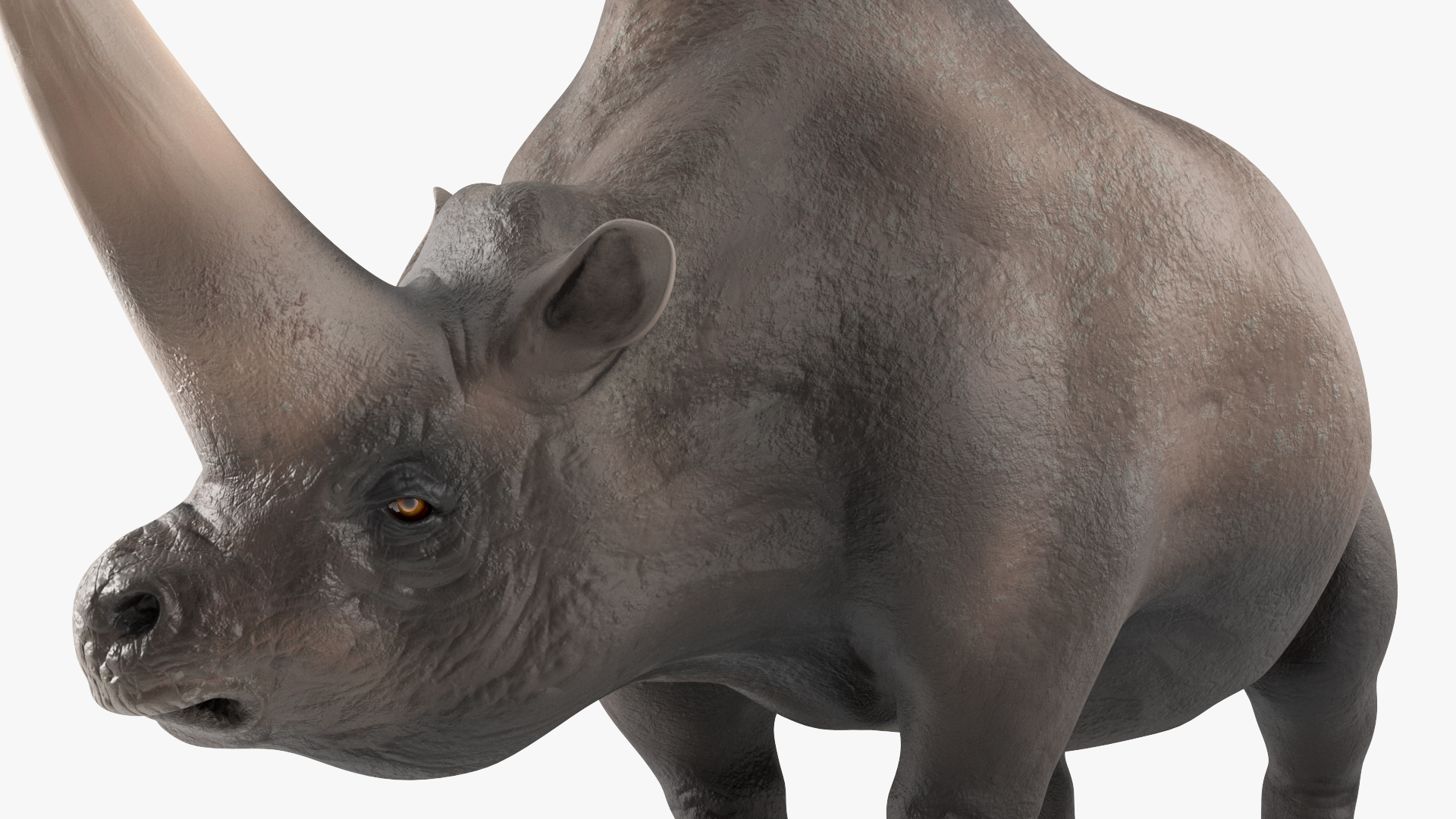 Extinct Giant Rhinoceros Walking Pose 3D