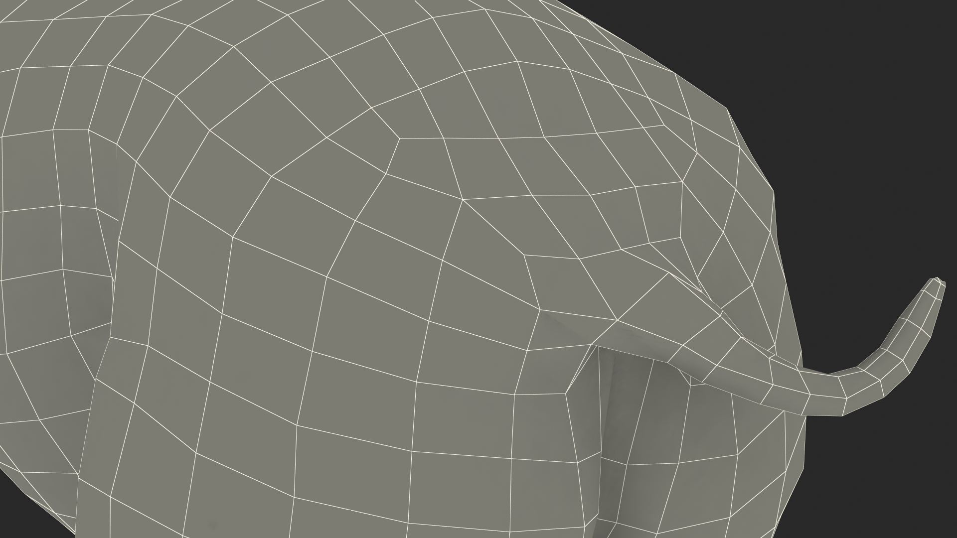 Extinct Giant Rhinoceros Walking Pose 3D