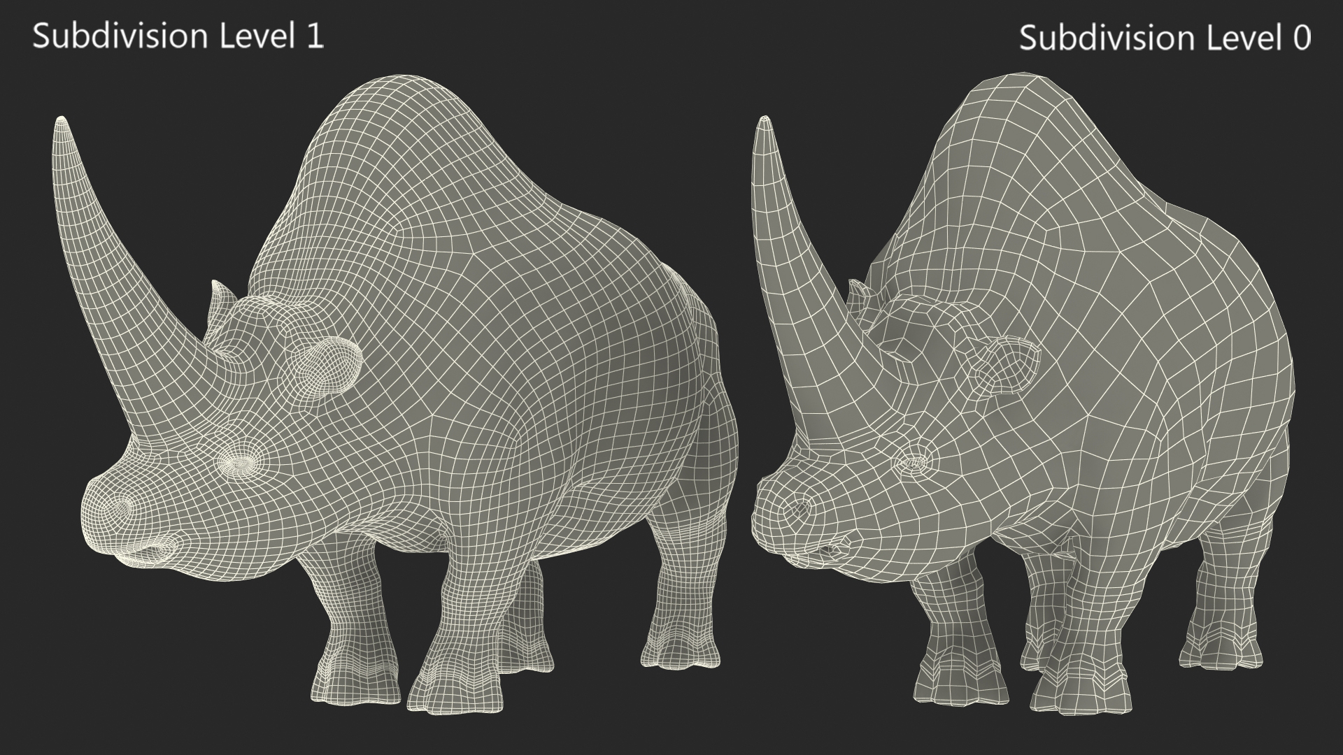 Extinct Giant Rhinoceros Walking Pose 3D