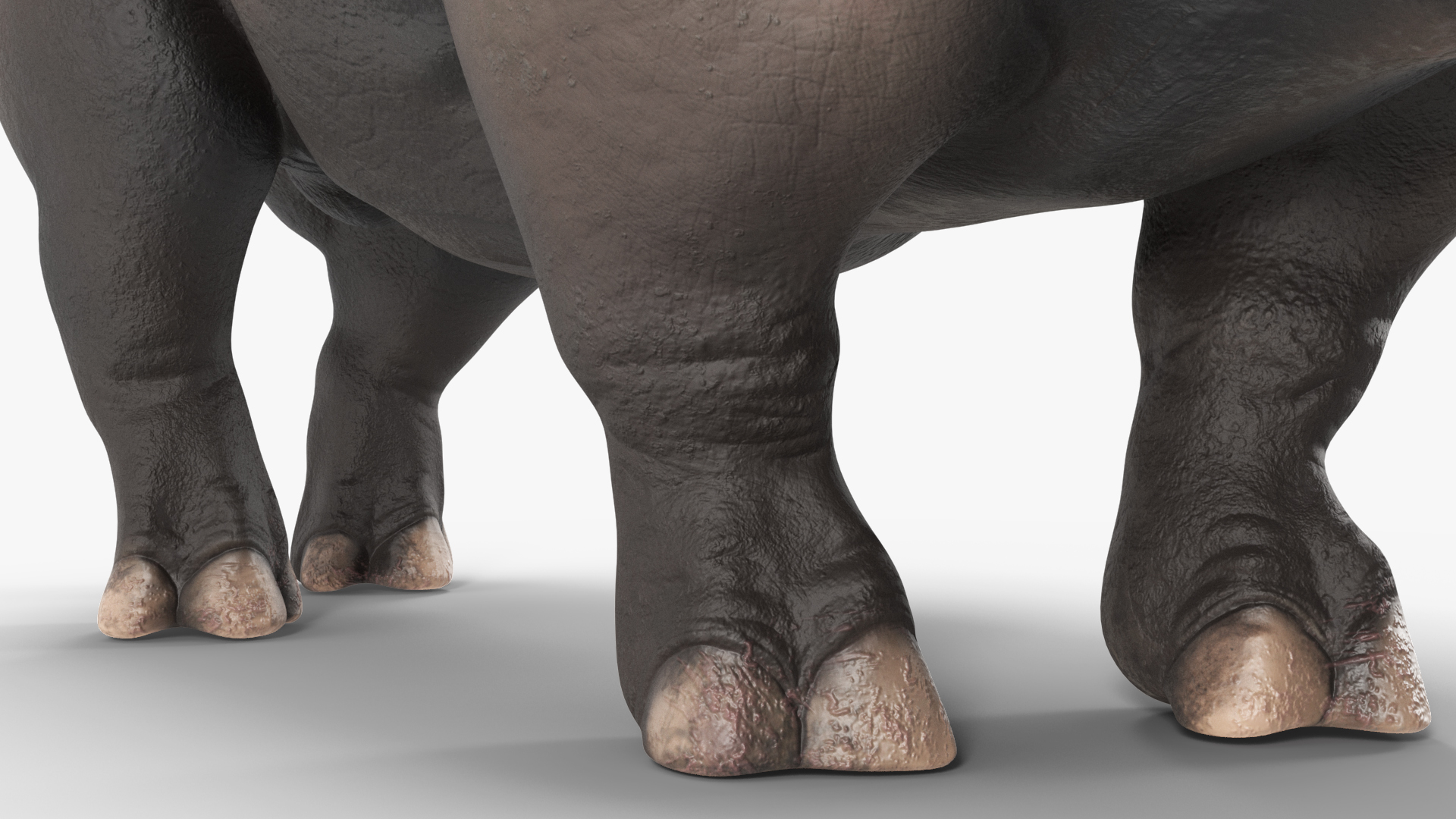 Extinct Giant Rhinoceros Walking Pose 3D