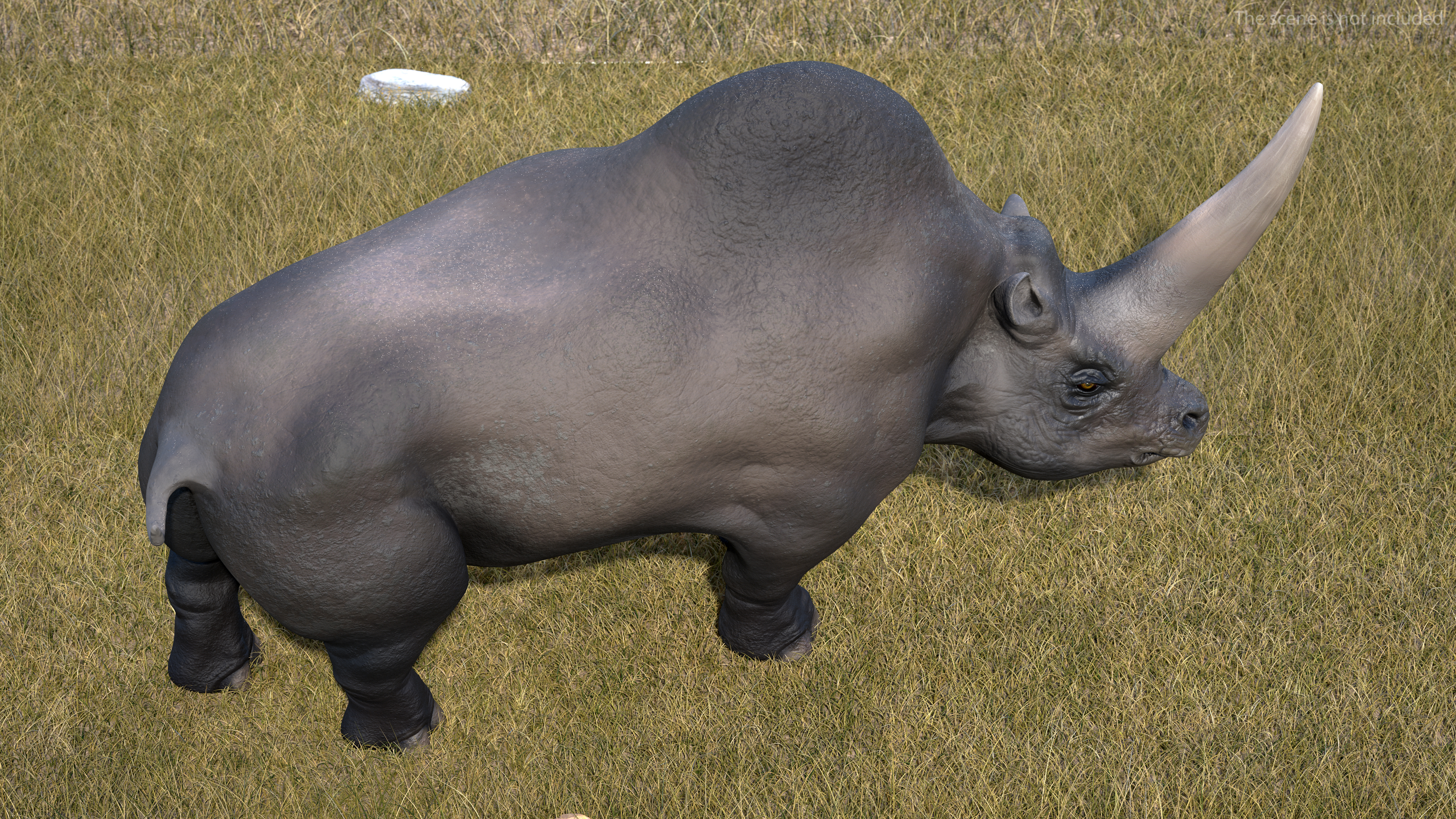 Extinct Giant Rhinoceros Walking Pose 3D
