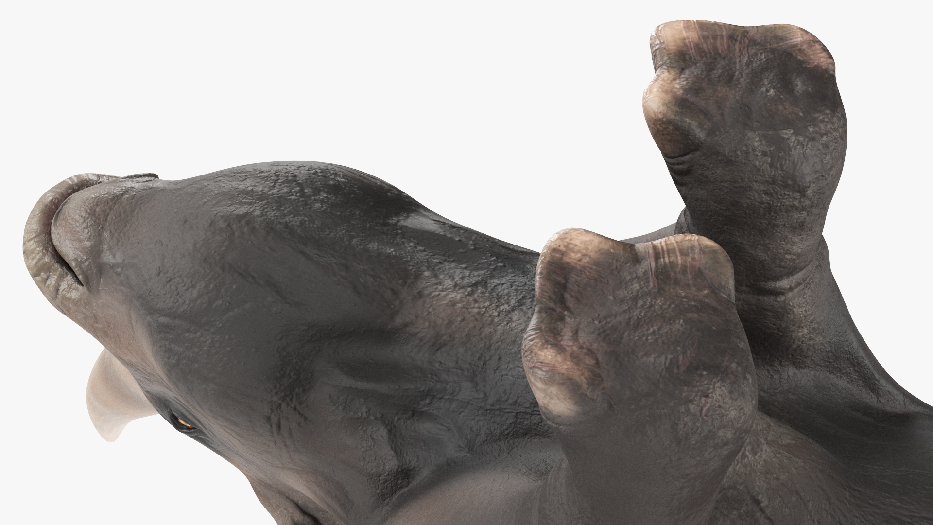 Extinct Giant Rhinoceros Walking Pose 3D