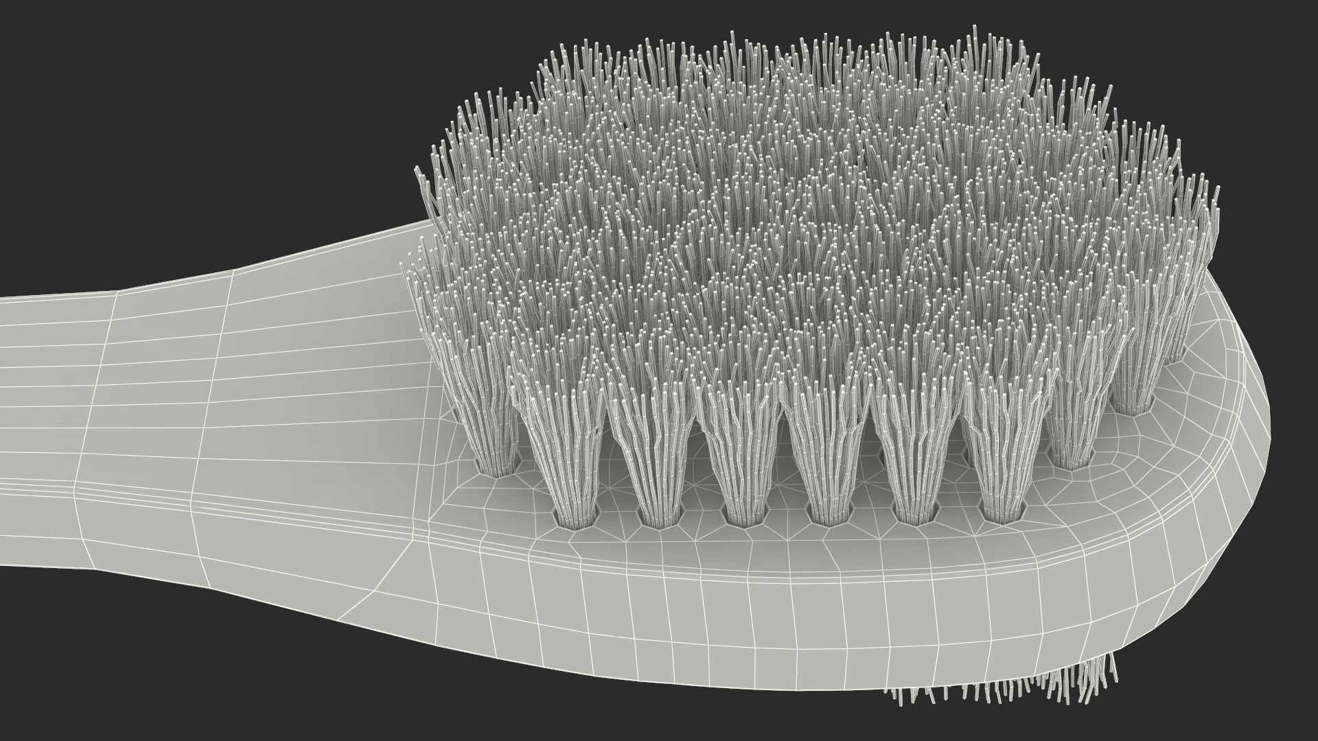 3D Double Sided Shoe Brush model