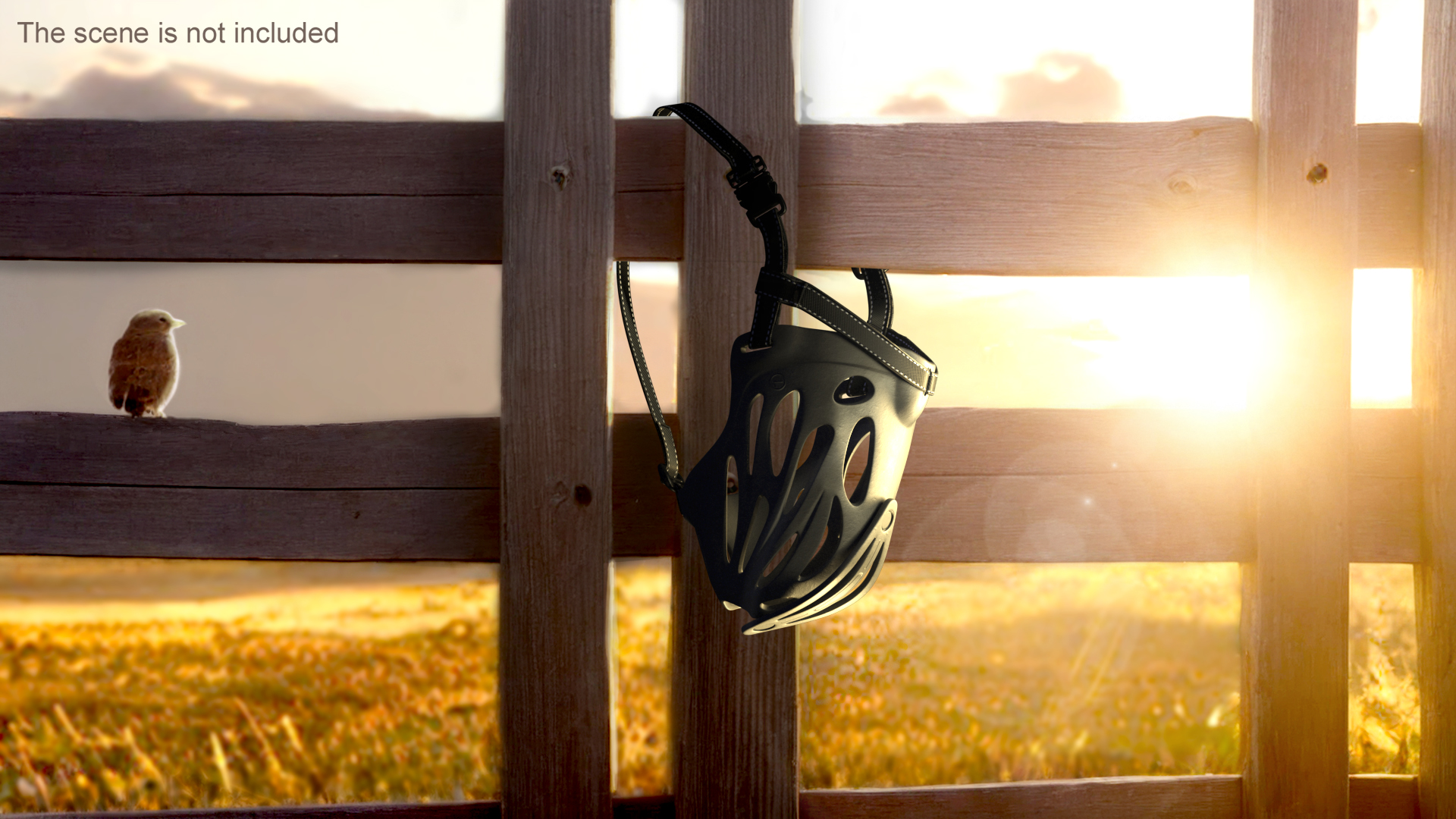 Silicone Dog Muzzle Xoloitzcuintli 3D model