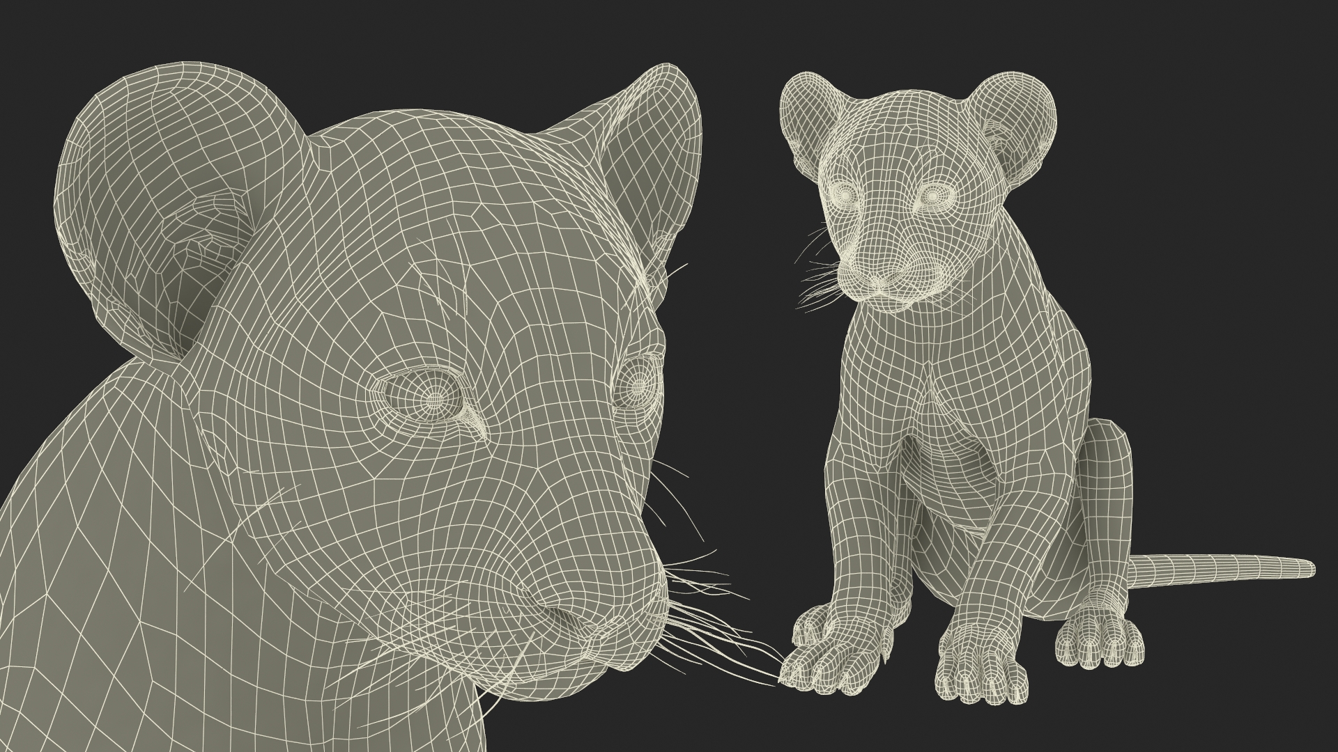 3D model Lion Cub Sitting Fur