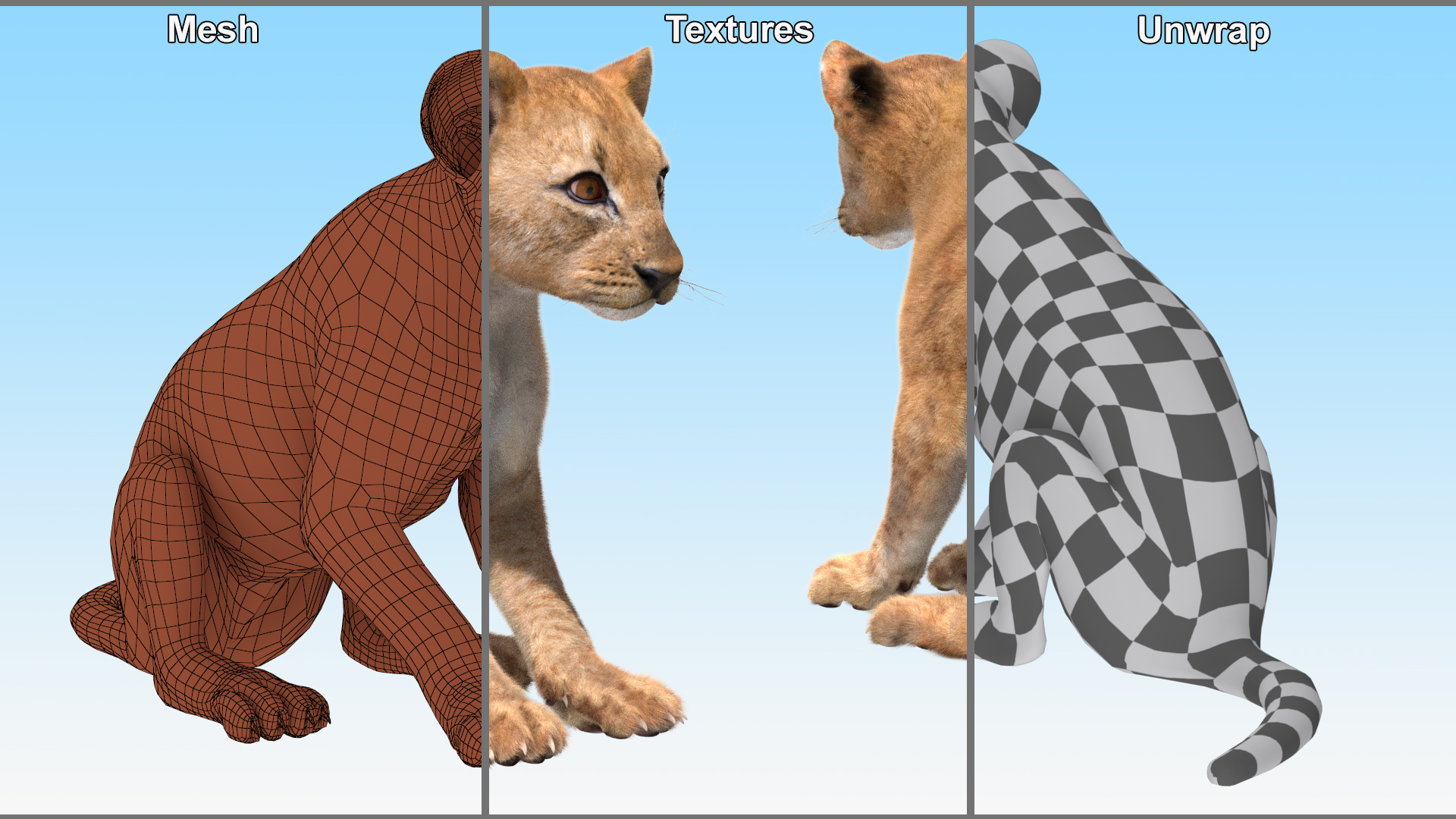 3D model Lion Cub Sitting Fur