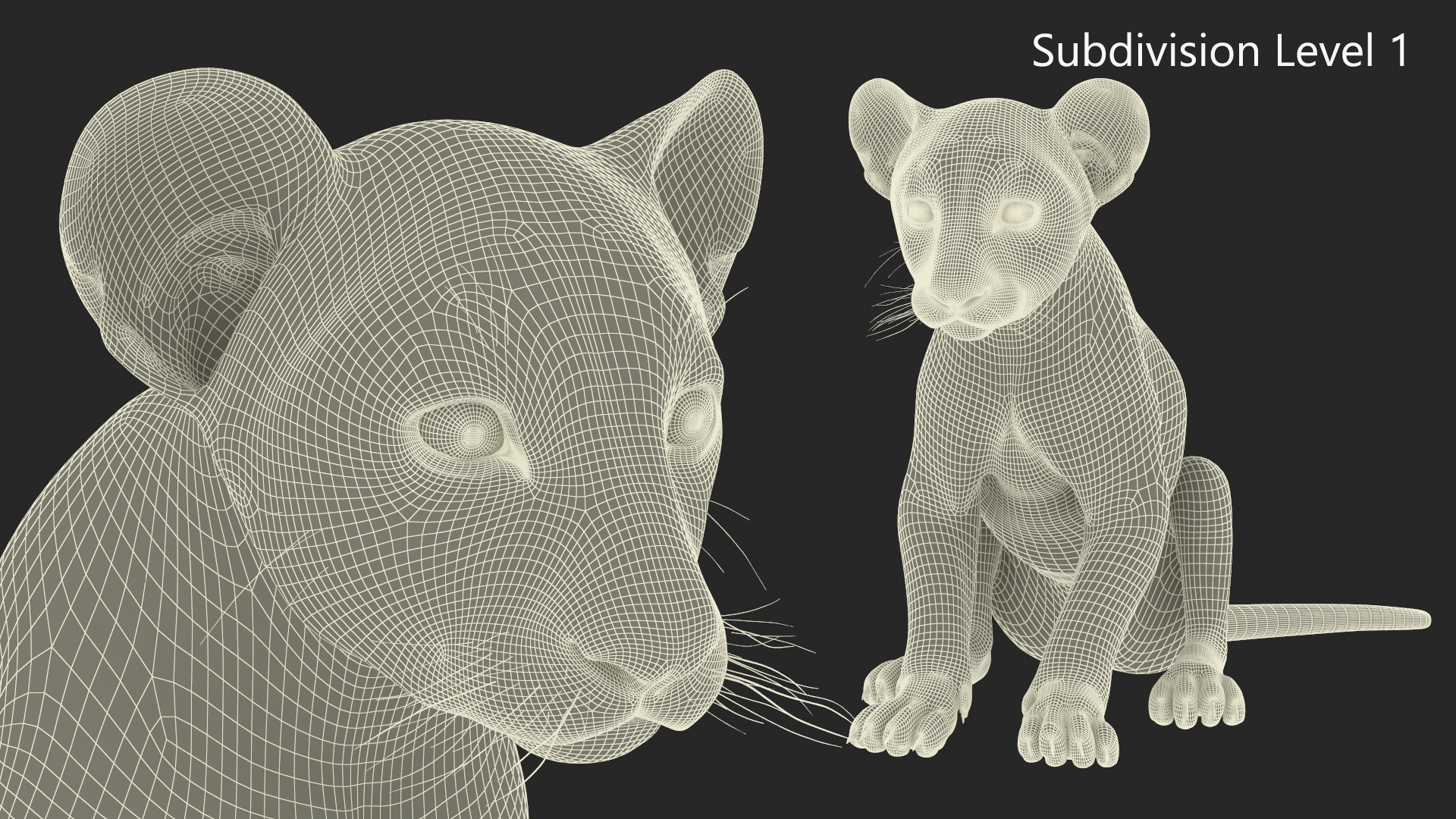 3D model Lion Cub Sitting Fur