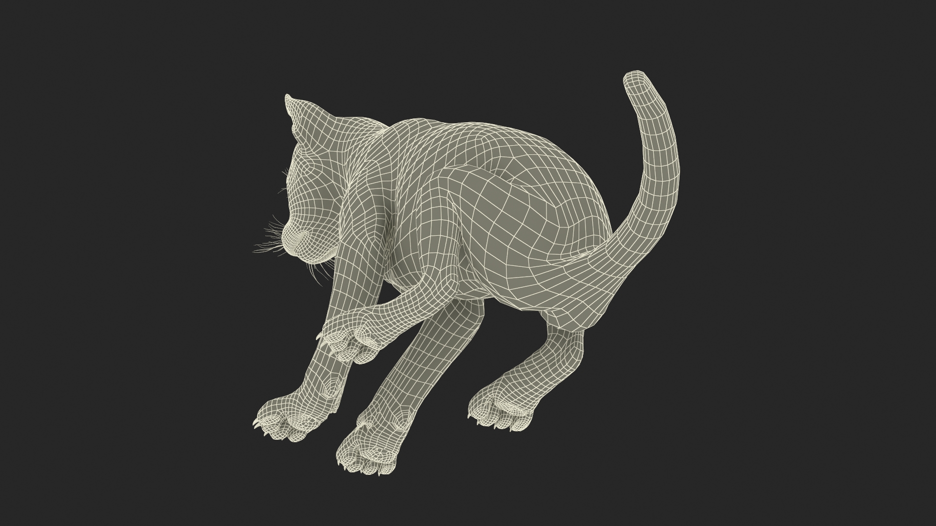 3D model Lion Cub Sitting Fur
