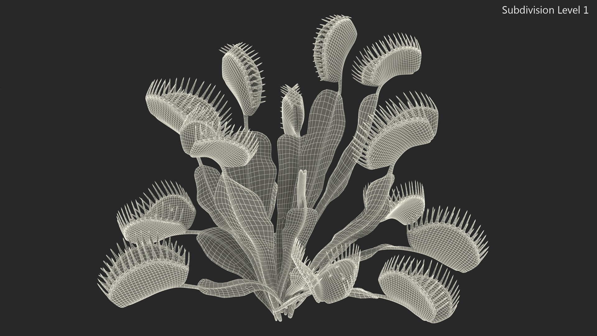3D Dionaea Muscipula Green model
